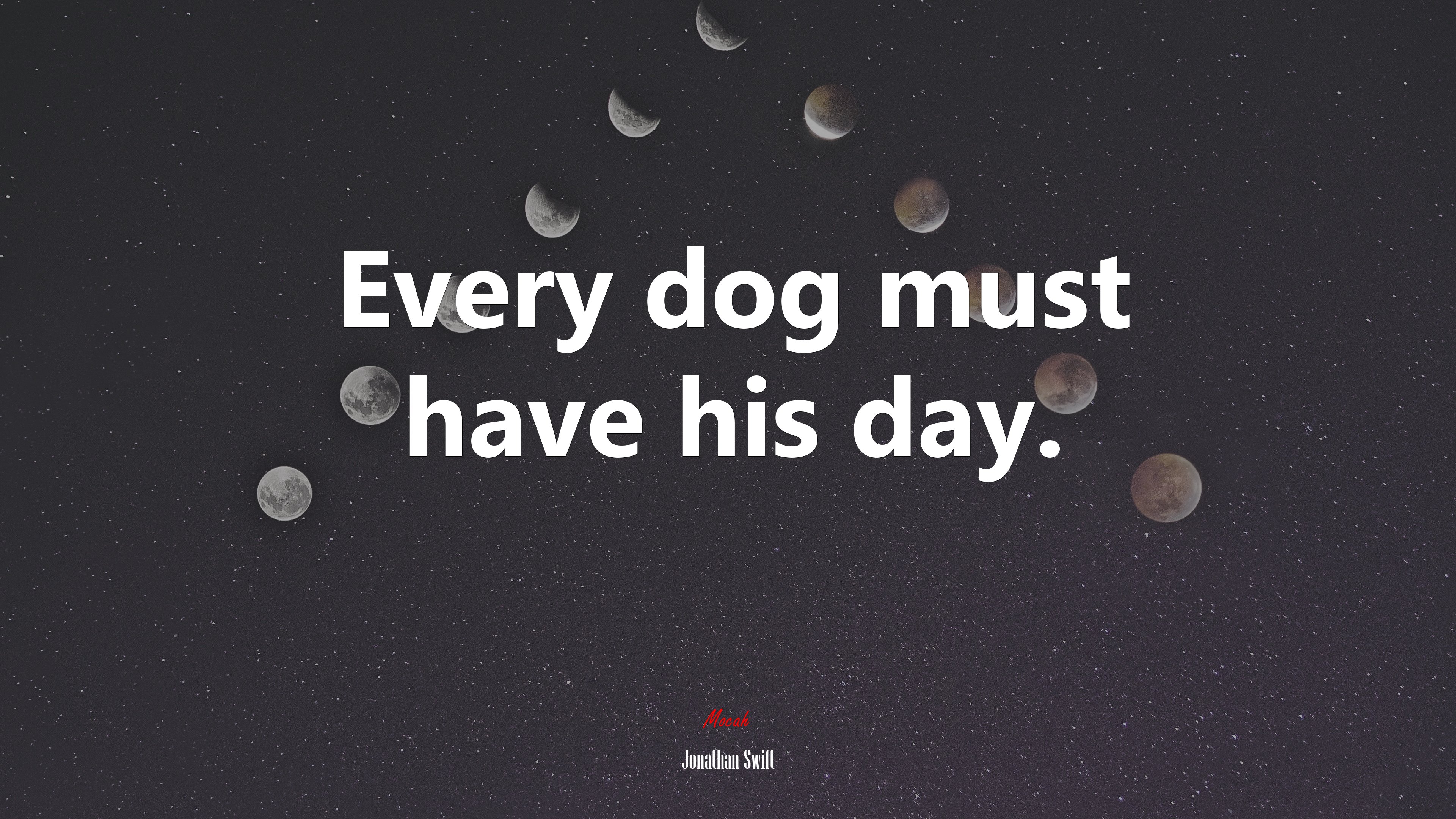 Every dog must have his day. | Jonathan Swift quote HD Wallpaper