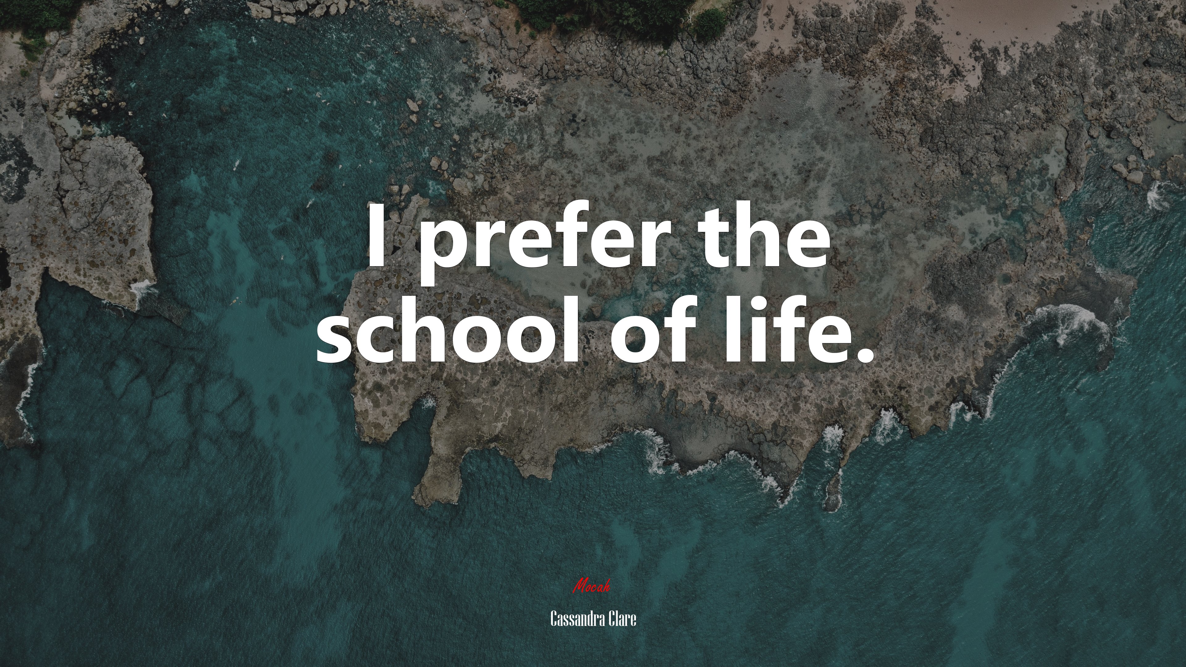 I prefer the school of life. | Cassandra Clare quote HD Wallpaper