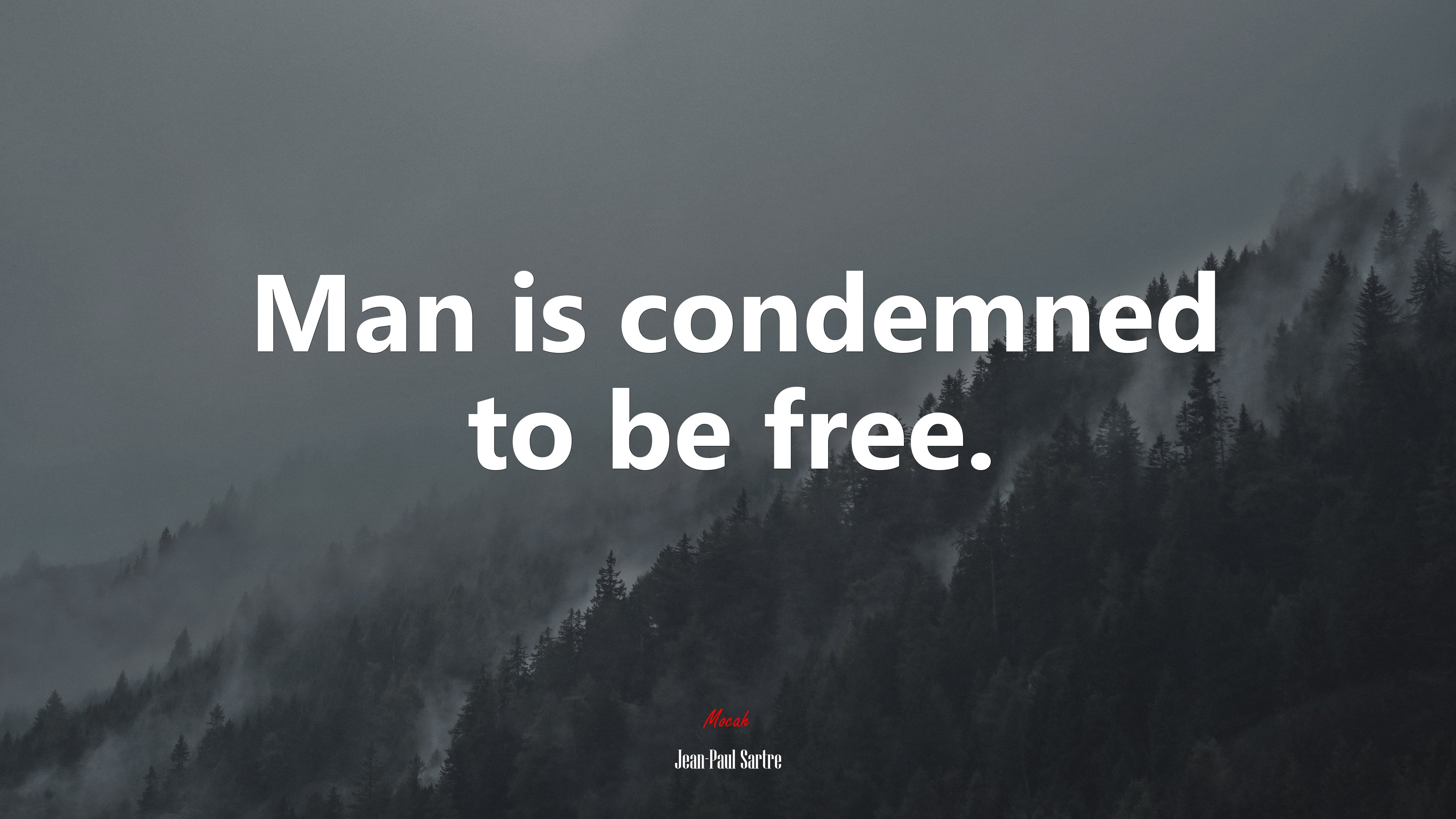 Man is condemned to be free. | Jean-Paul Sartre quote HD Wallpaper