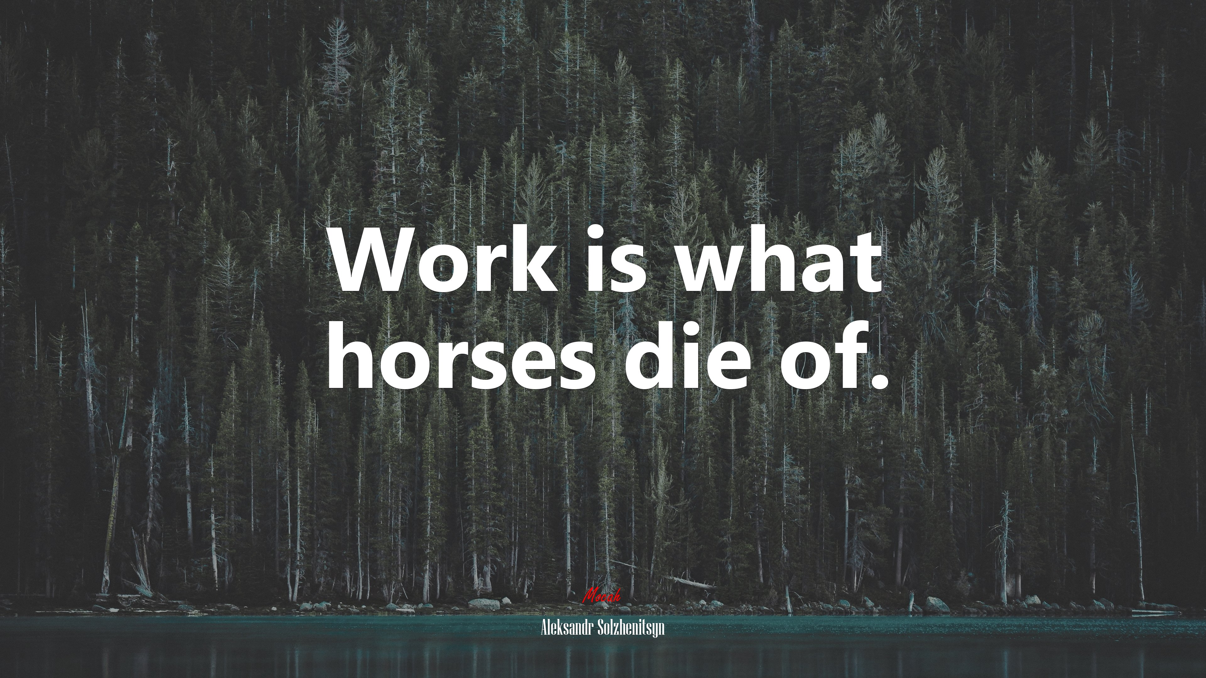 Work is what horses die of. | Aleksandr Solzhenitsyn quote HD Wallpaper