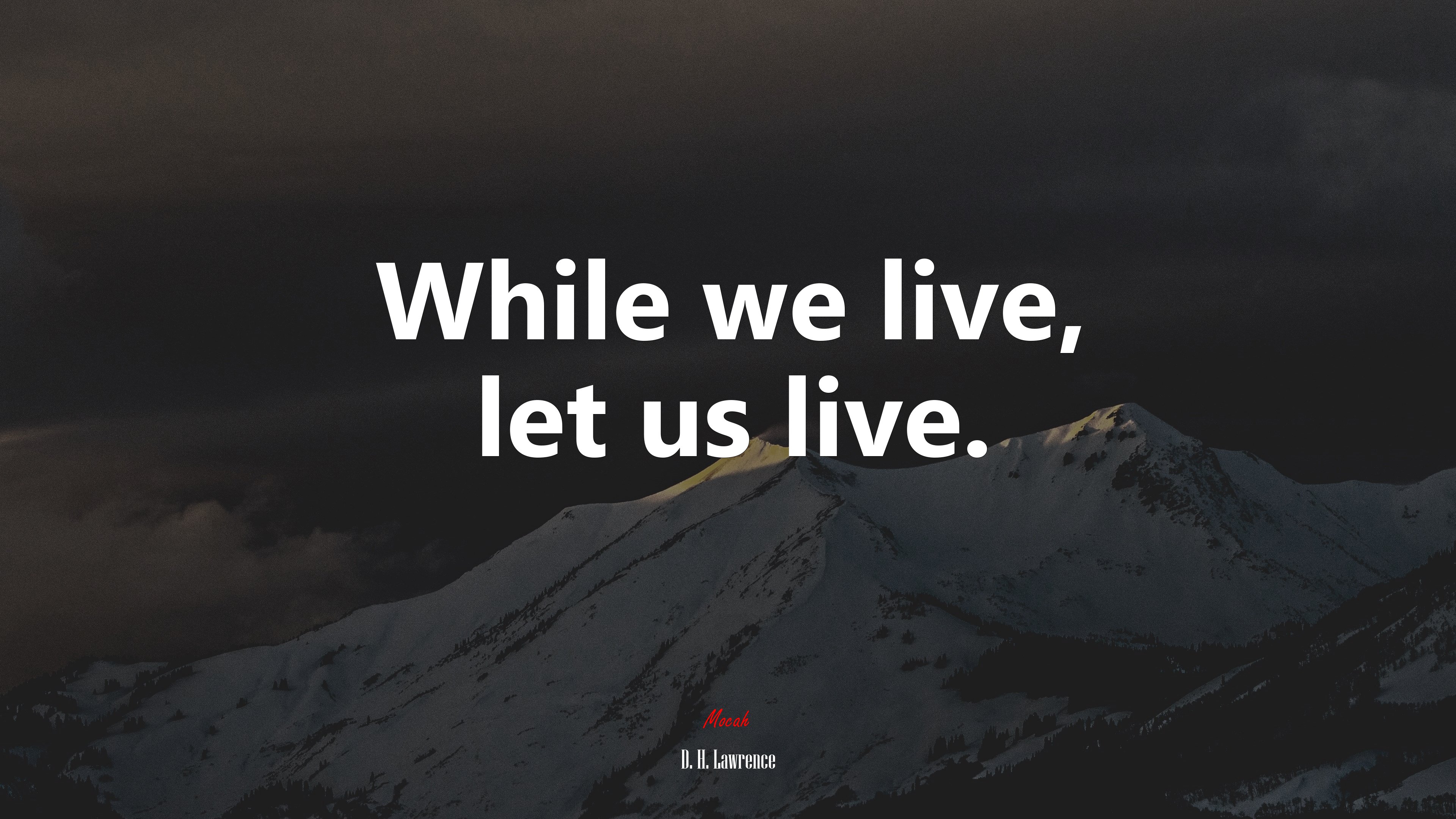 While we live, let us live. | D. H. Lawrence quote HD Wallpaper