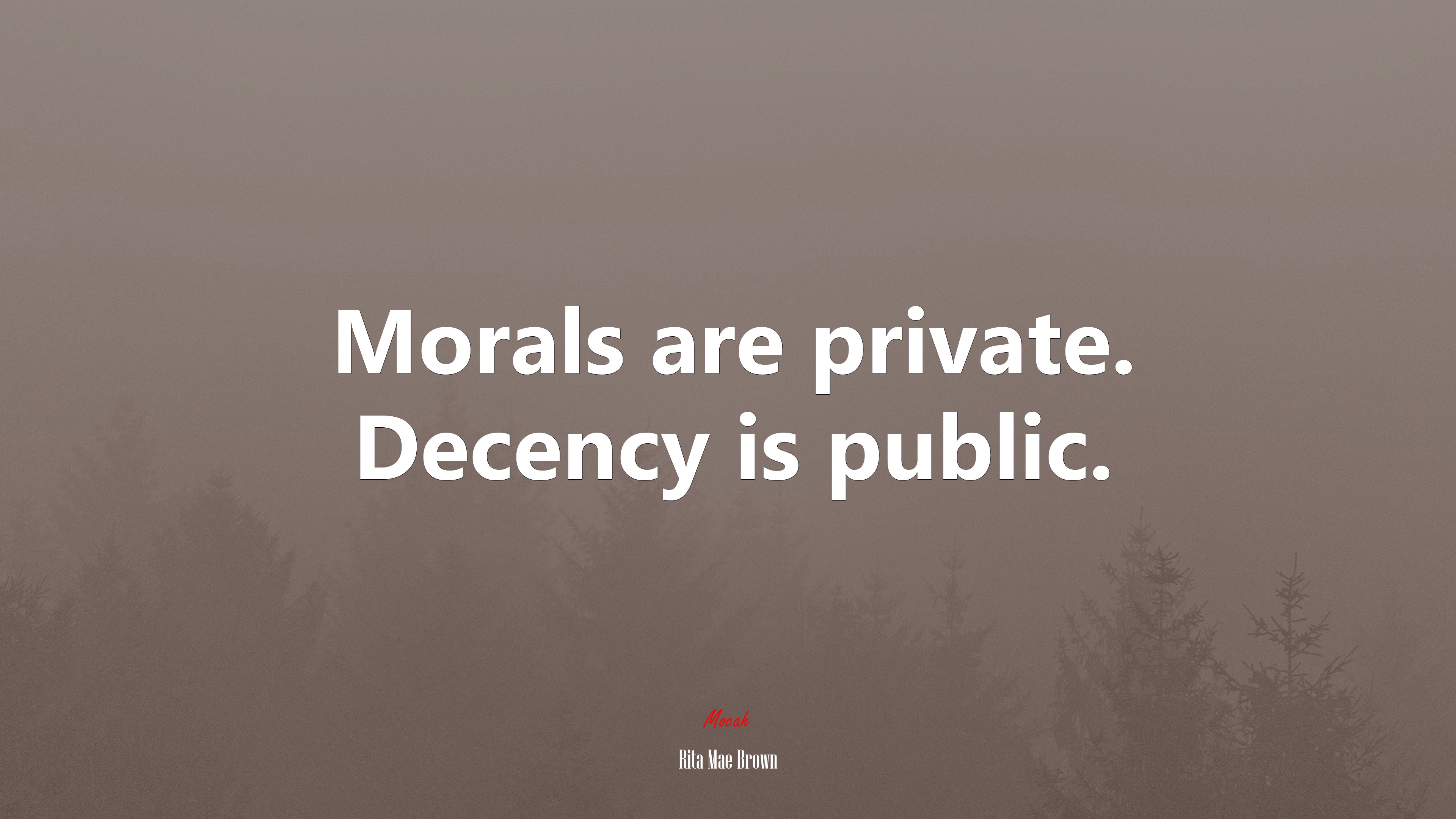 Morals are private. Decency is public. | Rita Mae Brown quote HD Wallpaper