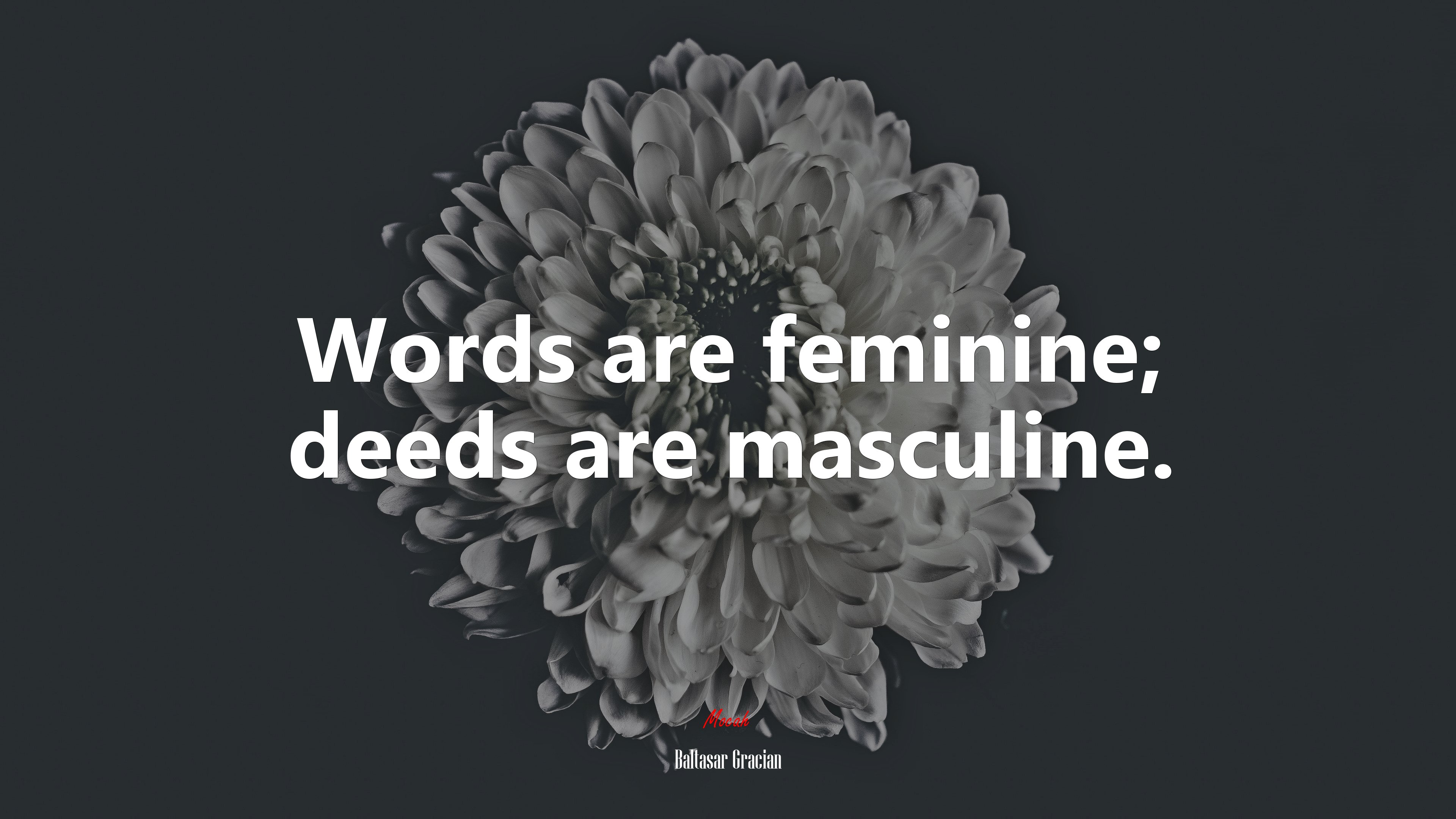 Words are feminine; deeds are masculine. | Baltasar Gracián quote HD Wallpaper