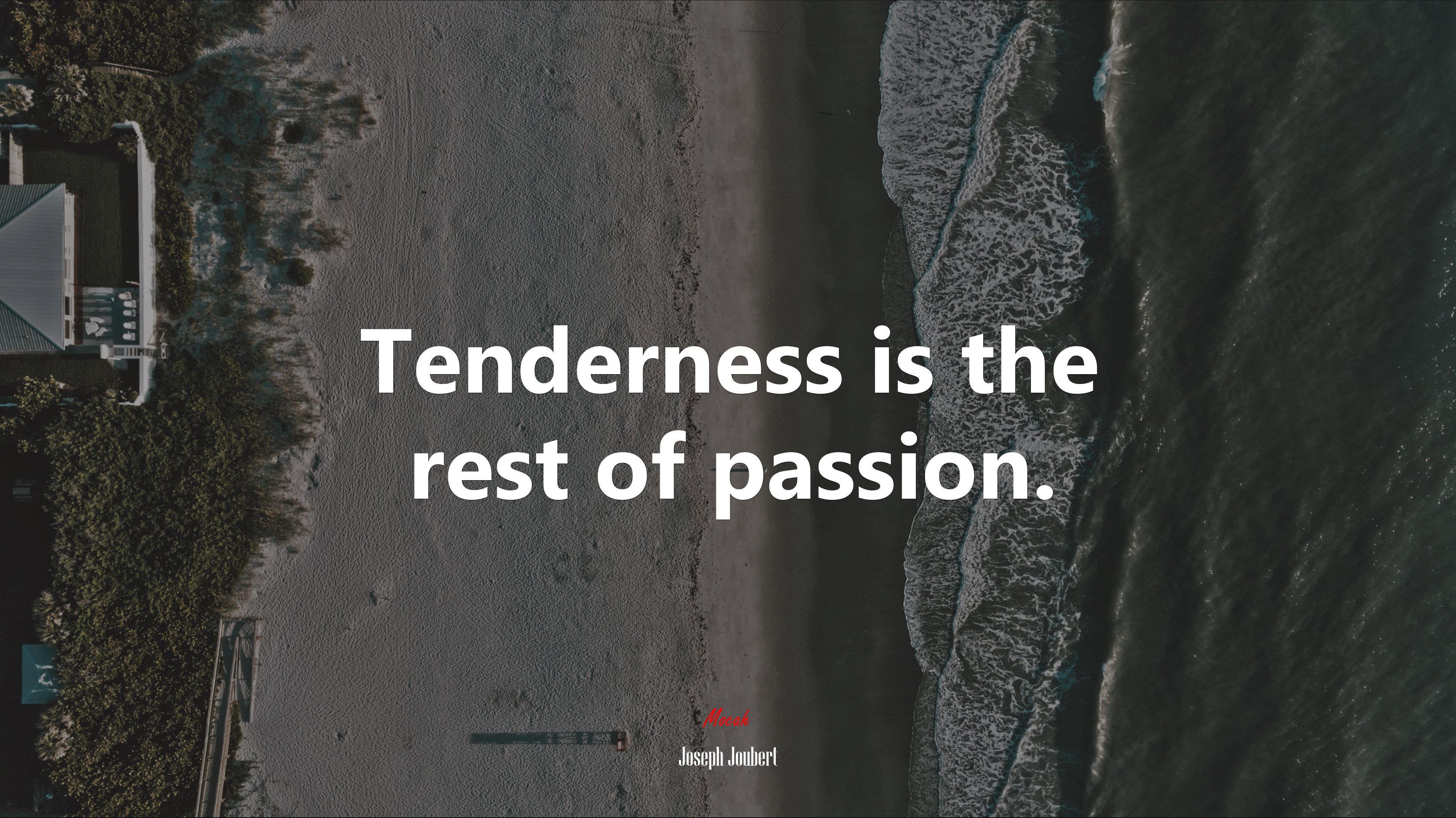 Tenderness is the rest of passion. | Joseph Joubert quote HD Wallpaper