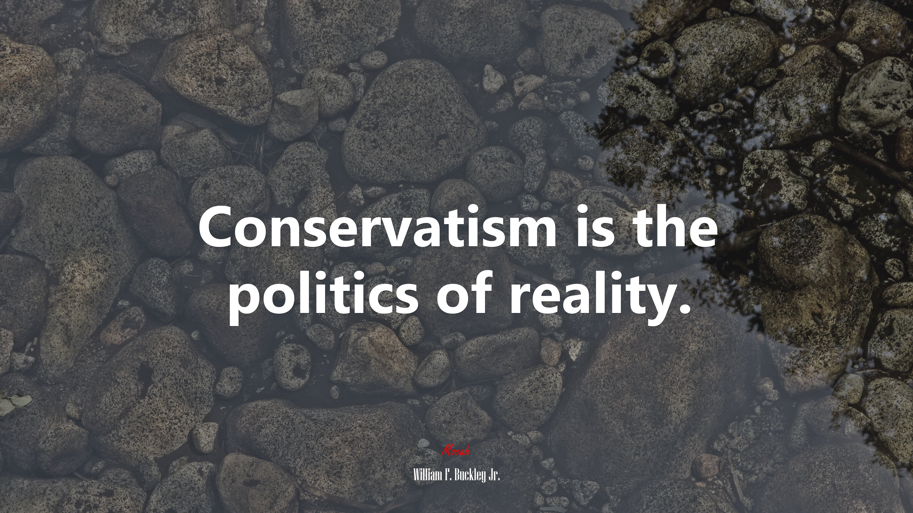 Conservatism is the politics of reality. | William F. Buckley Jr. quote HD Wallpaper