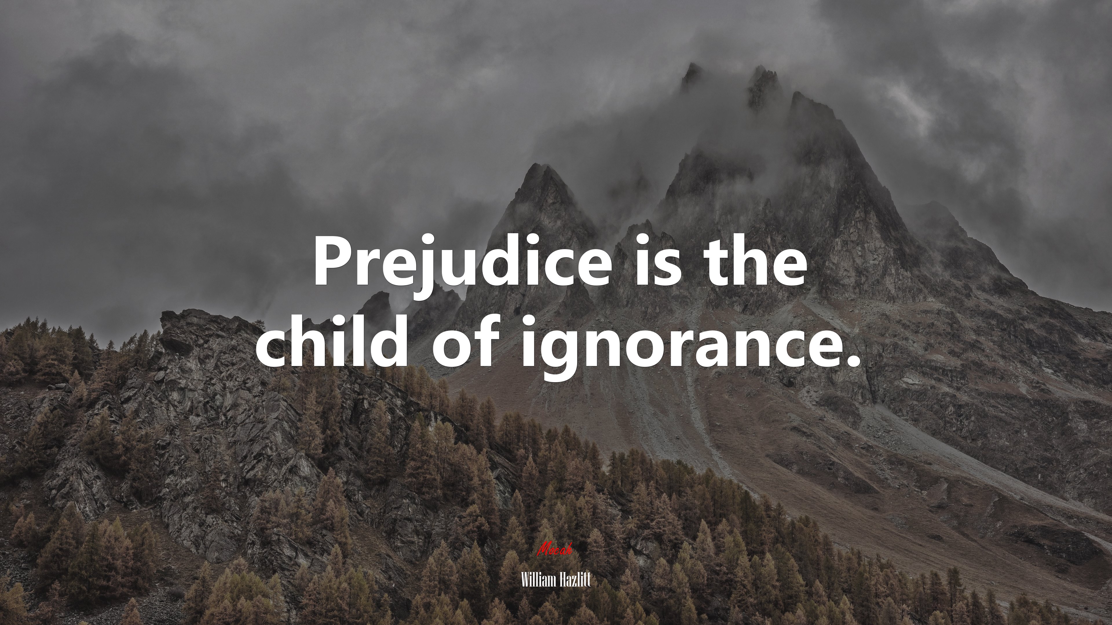 Prejudice is the child of ignorance. | William Hazlitt quote HD Wallpaper