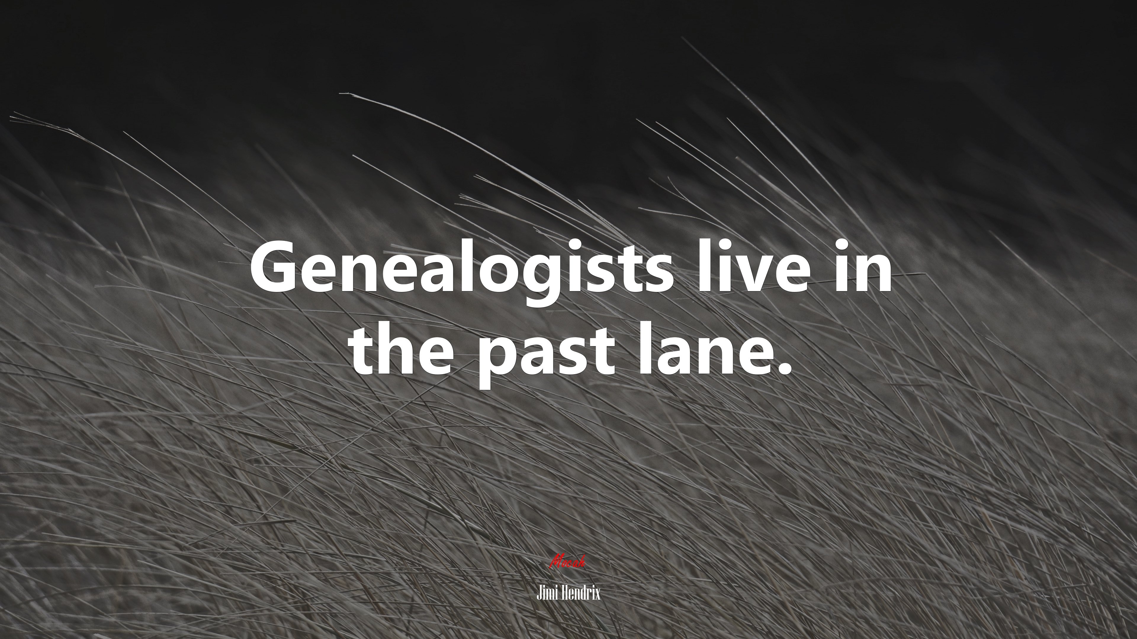 Genealogists live in the past lane. | Jimi Hendrix quote HD Wallpaper
