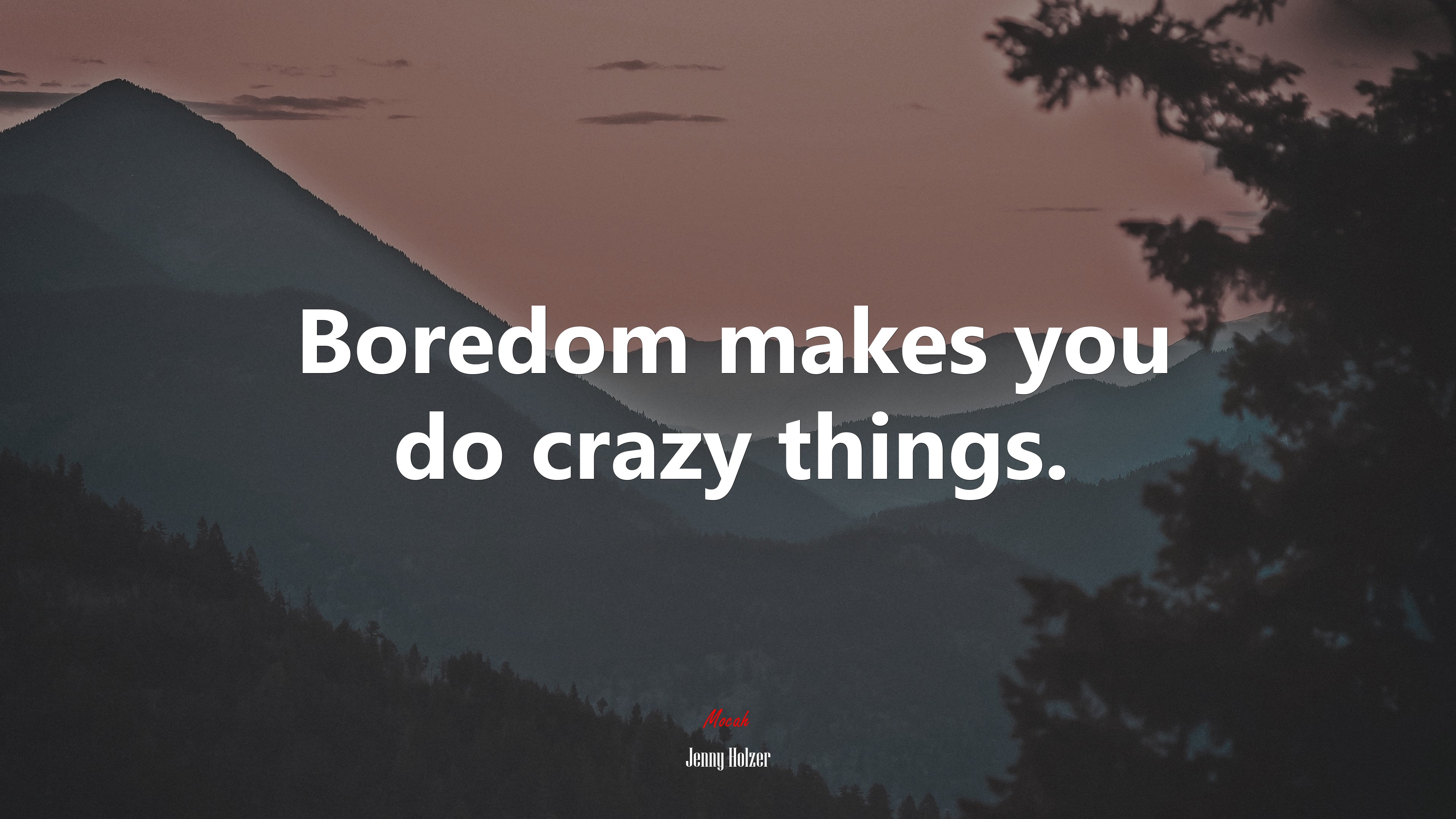 Boredom makes you do crazy things. | Jenny Holzer quote HD Wallpaper