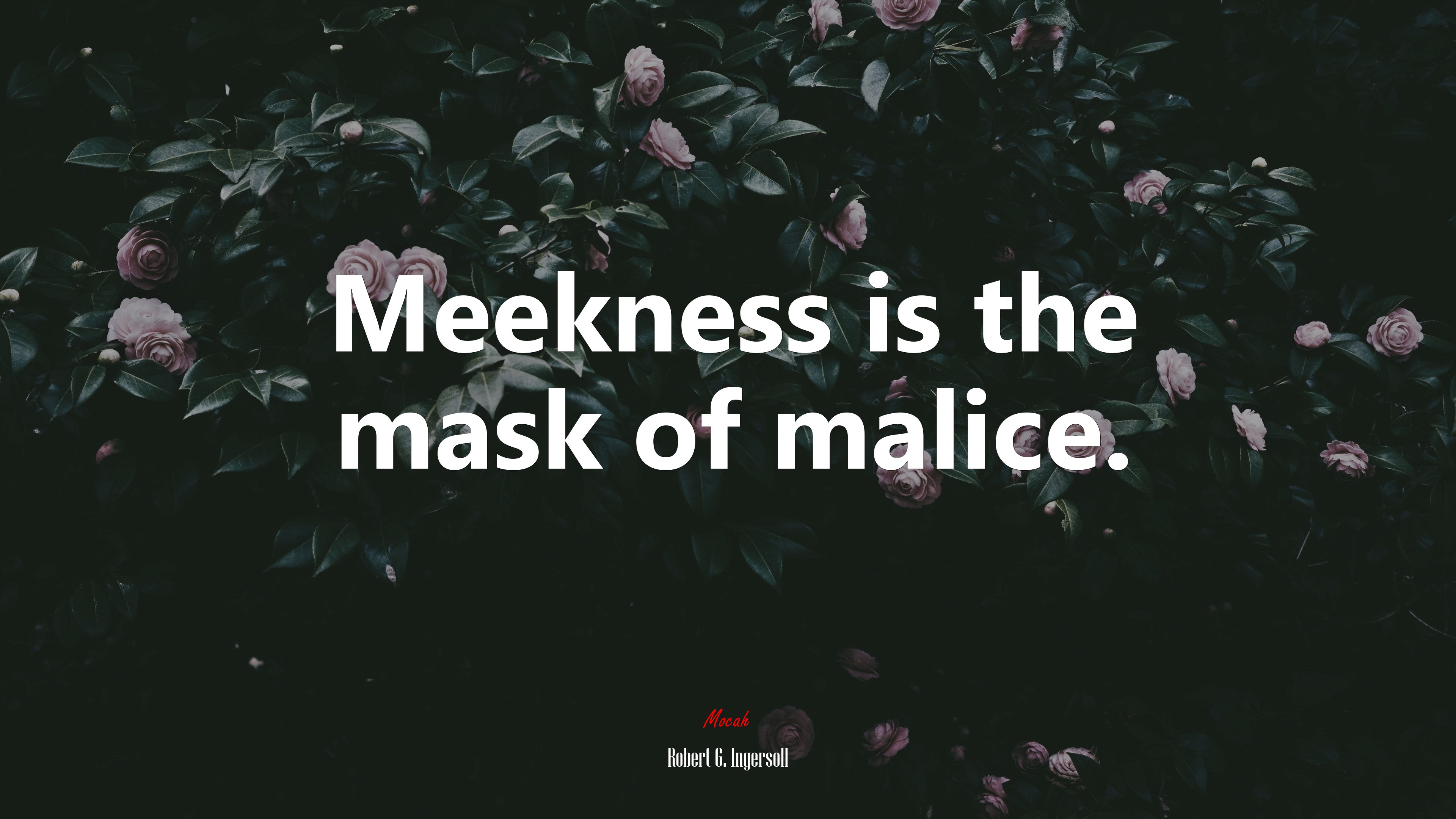Meekness is the mask of malice. | Robert G. Ingersoll quote HD Wallpaper