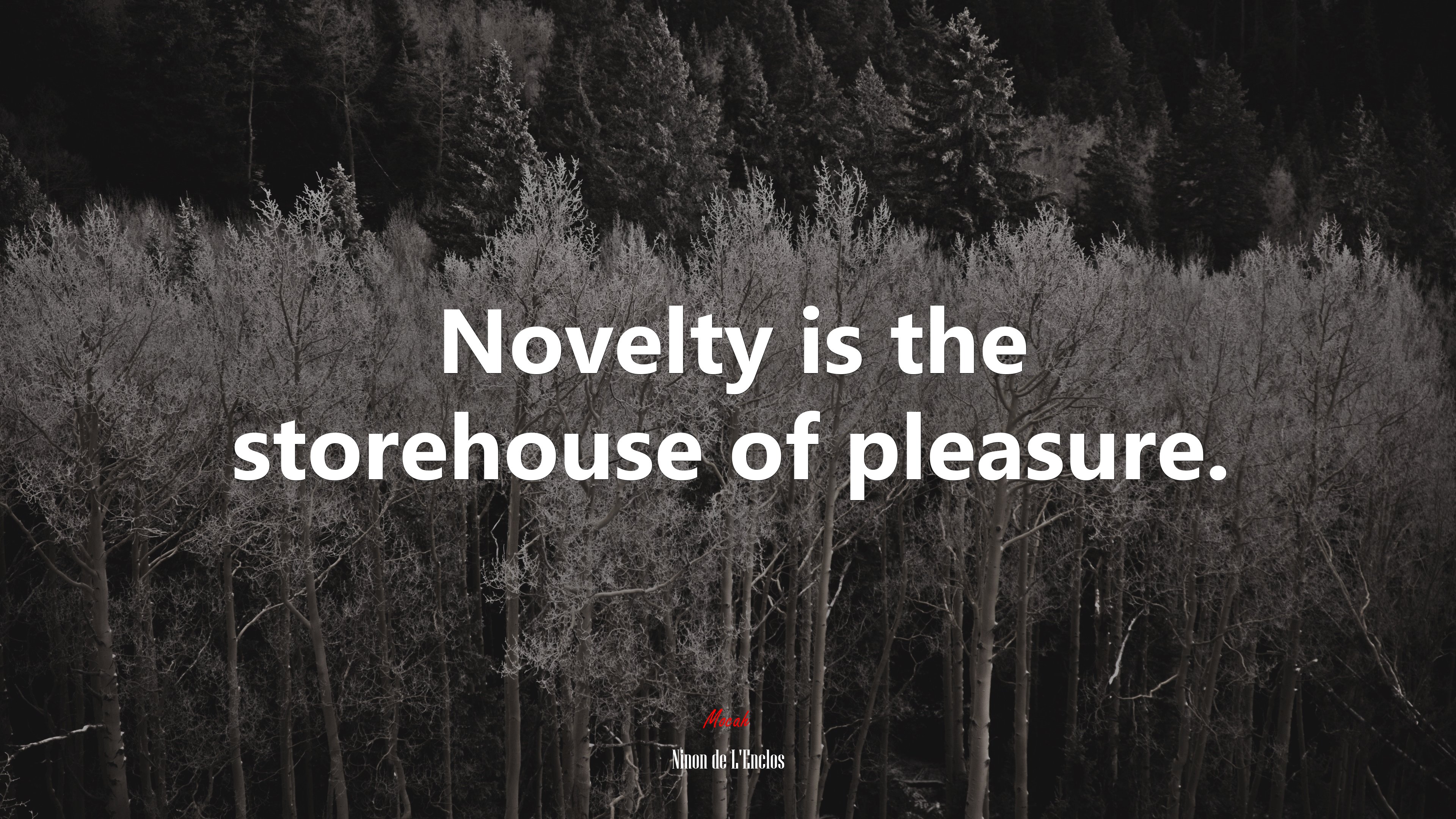 Novelty is the storehouse of pleasure. | Ninon de LEnclos quote HD Wallpaper