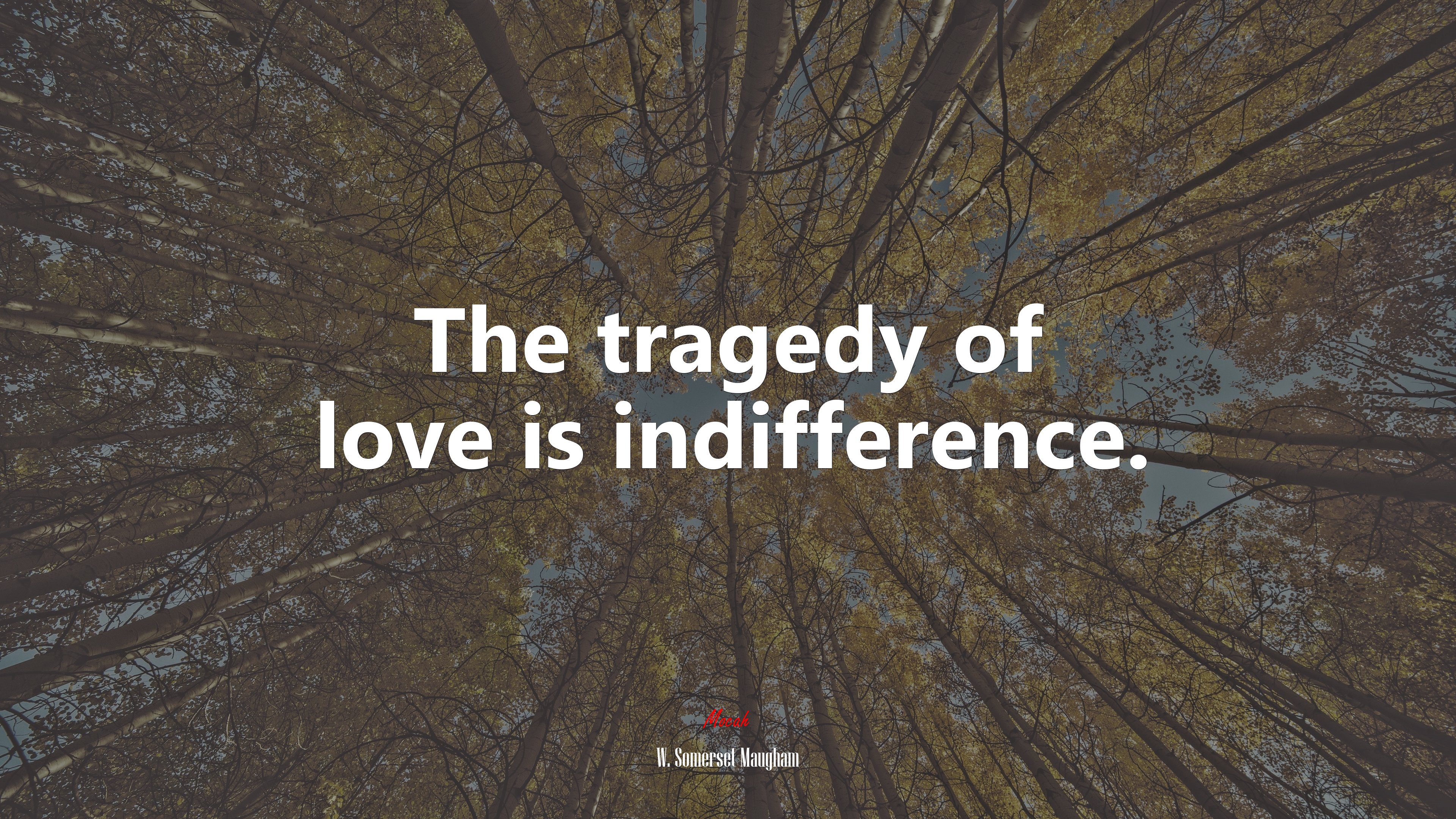 The tragedy of love is indifference. | W. Somerset Maugham quote HD Wallpaper