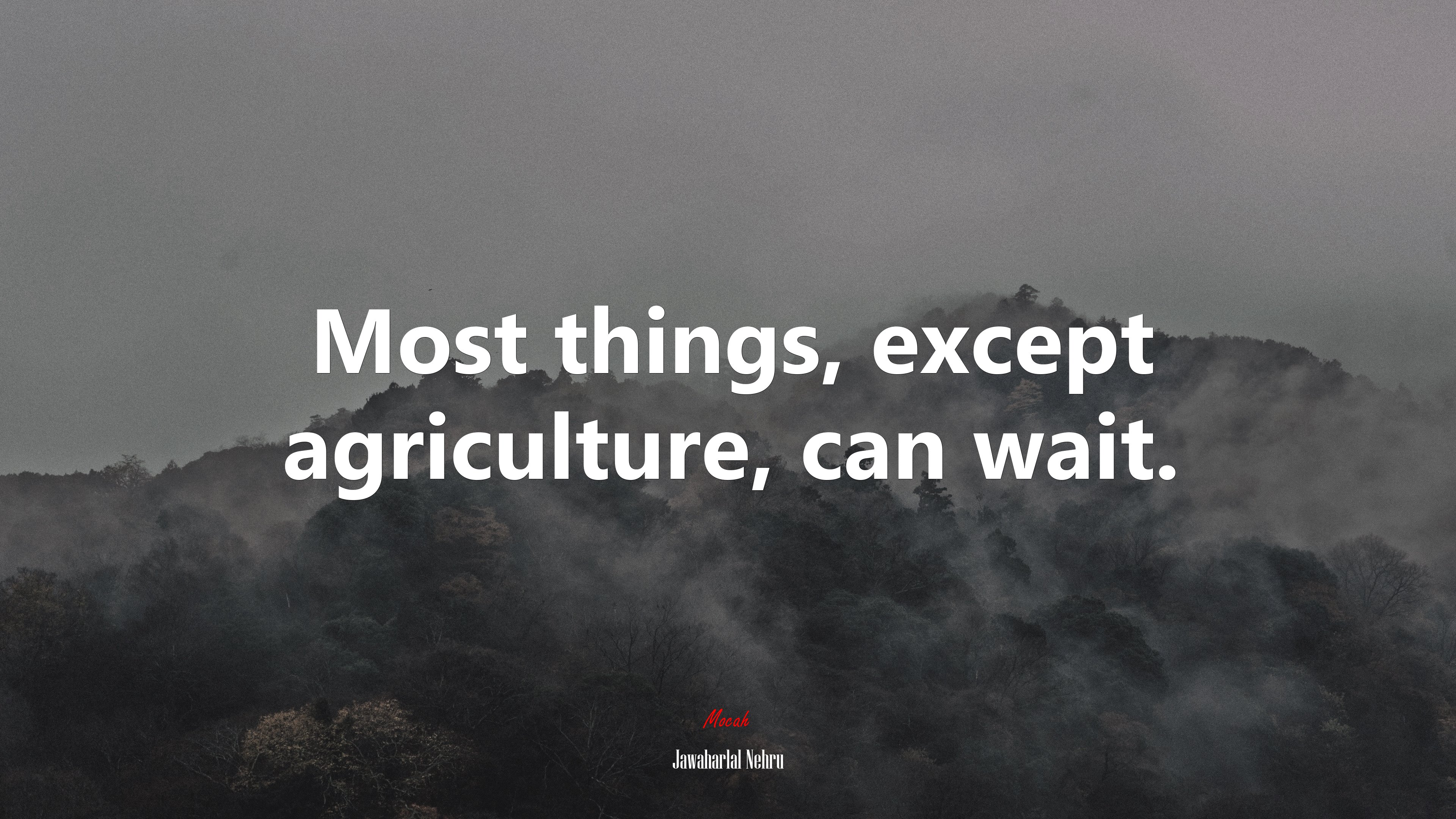 Most things, except agriculture, can wait. | Jawaharlal Nehru quote HD Wallpaper