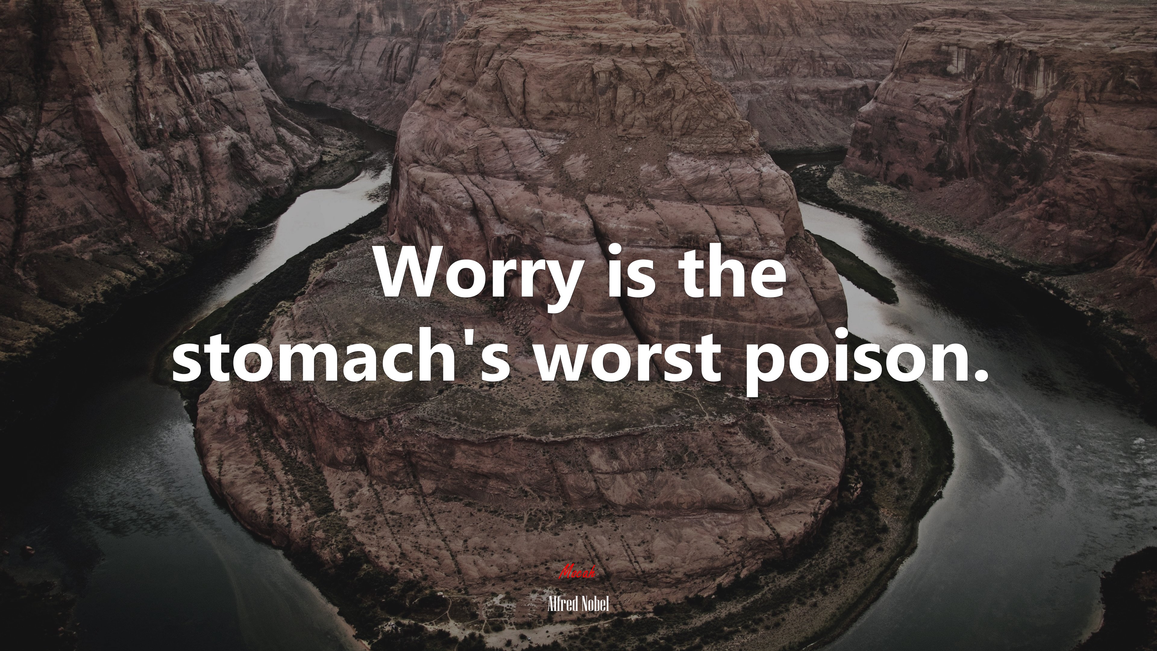 Worry is the stomach’s worst poison. | Alfred Nobel quote HD Wallpaper