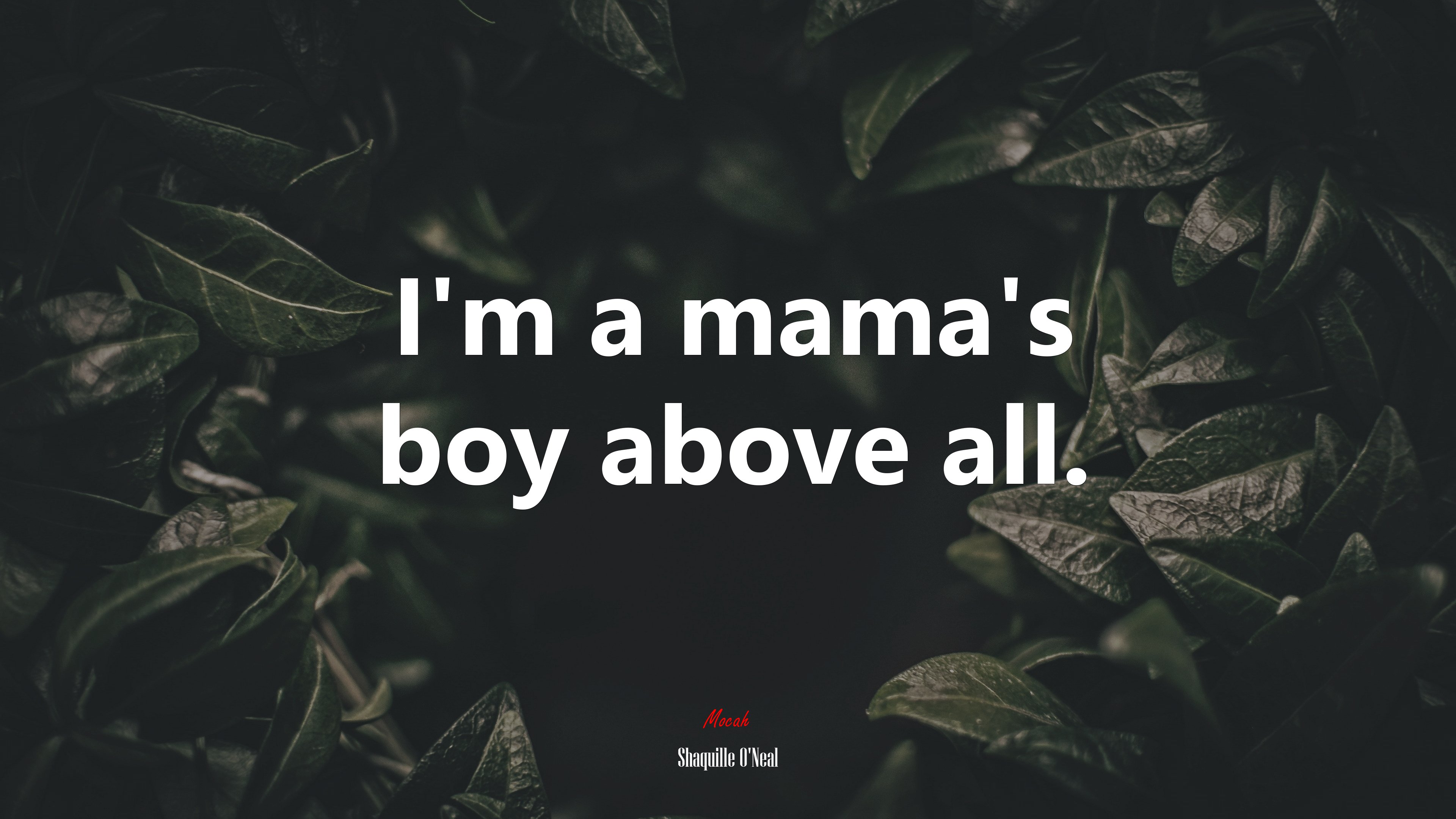 I’m a mama’s boy above all. | Shaquille ONeal quote HD Wallpaper