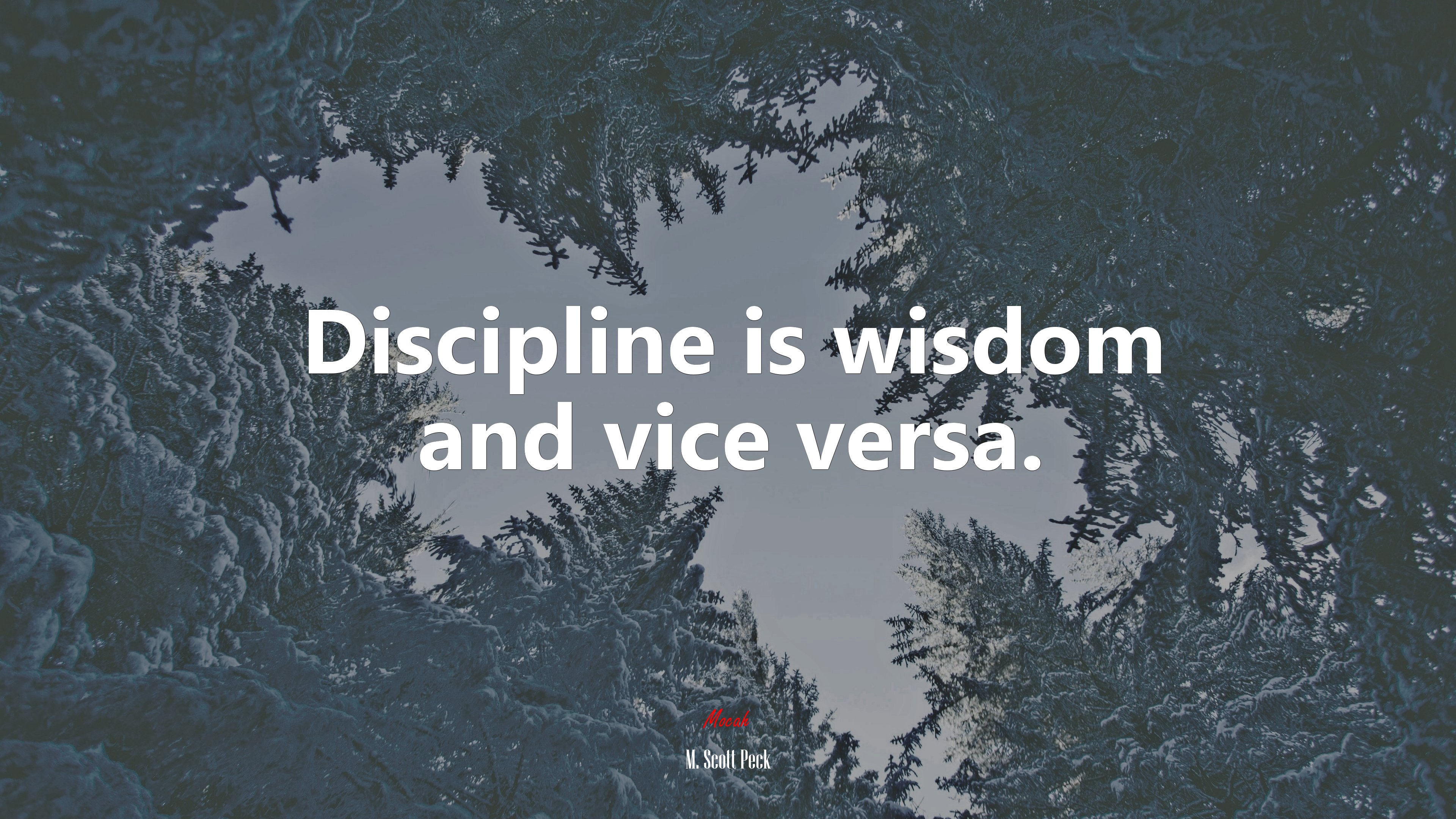 Discipline is wisdom and vice versa. | M. Scott Peck quote HD Wallpaper