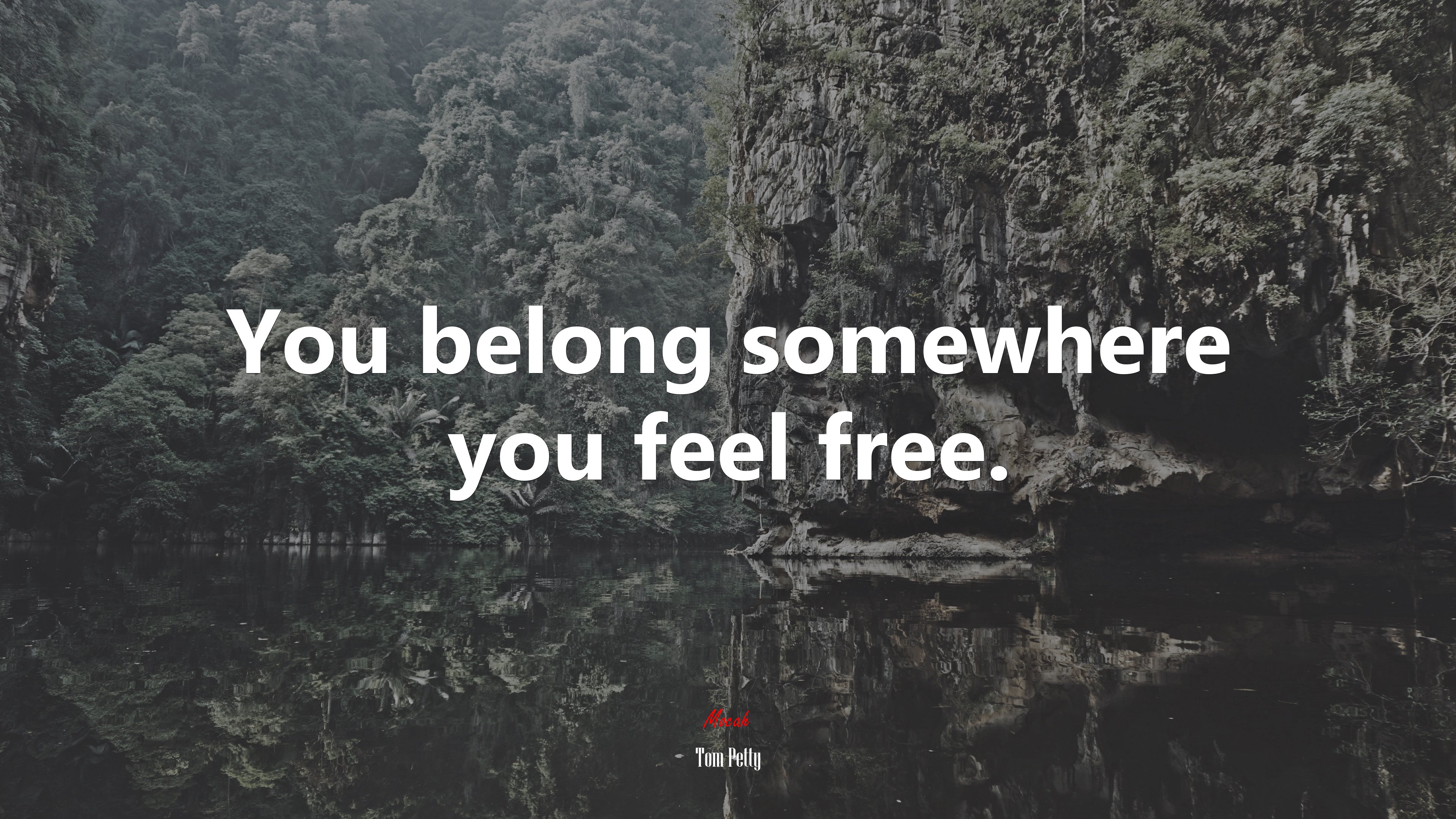 You belong somewhere you feel free. | Tom Petty quote HD Wallpaper