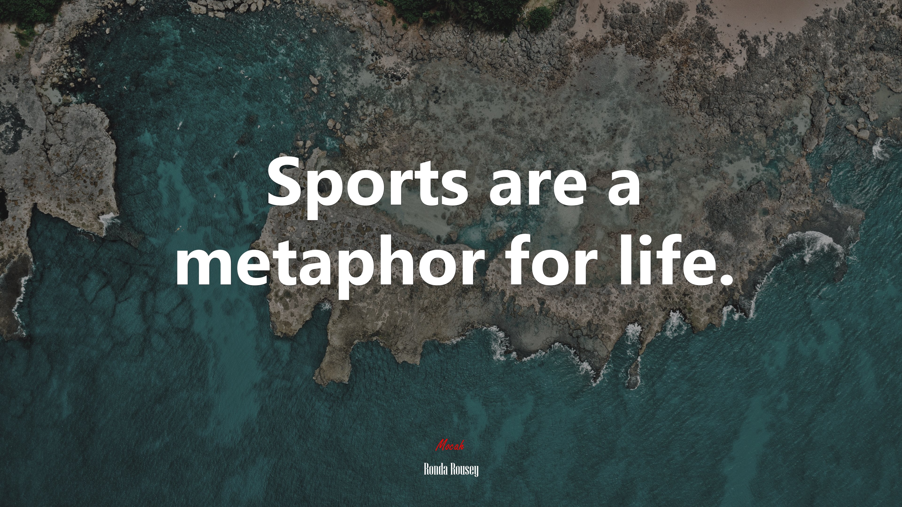 Sports are a metaphor for life. | Ronda Rousey quote HD Wallpaper
