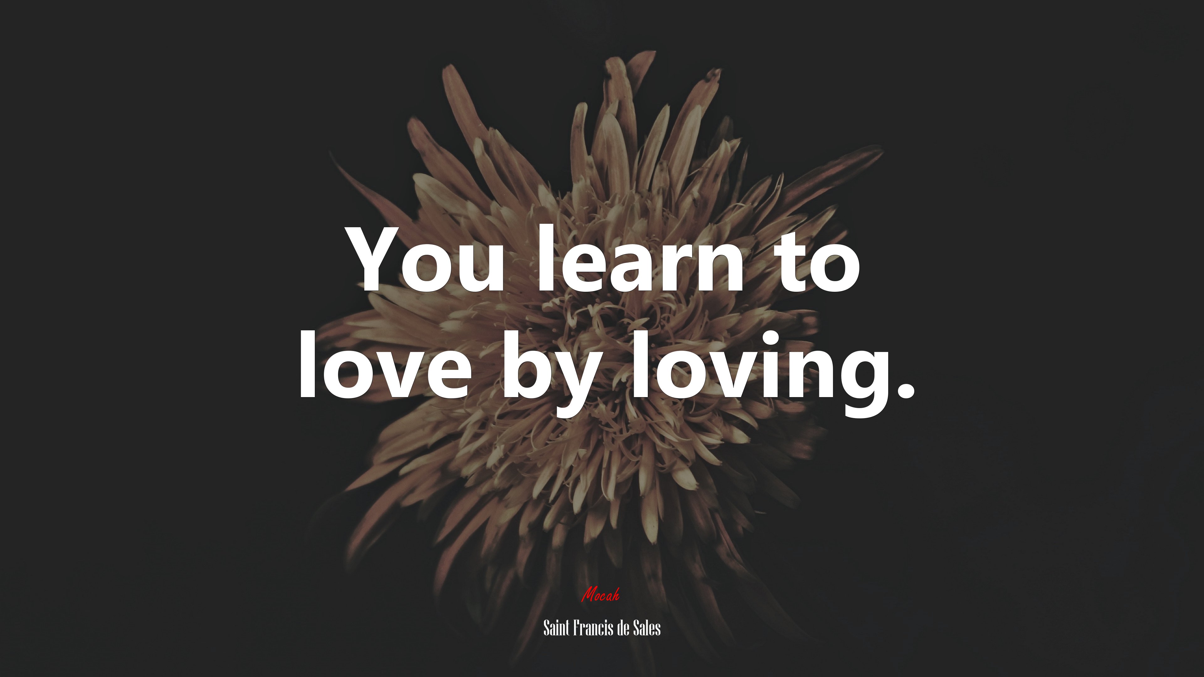 You learn to love by loving. | Saint Francis de Sales quote HD Wallpaper