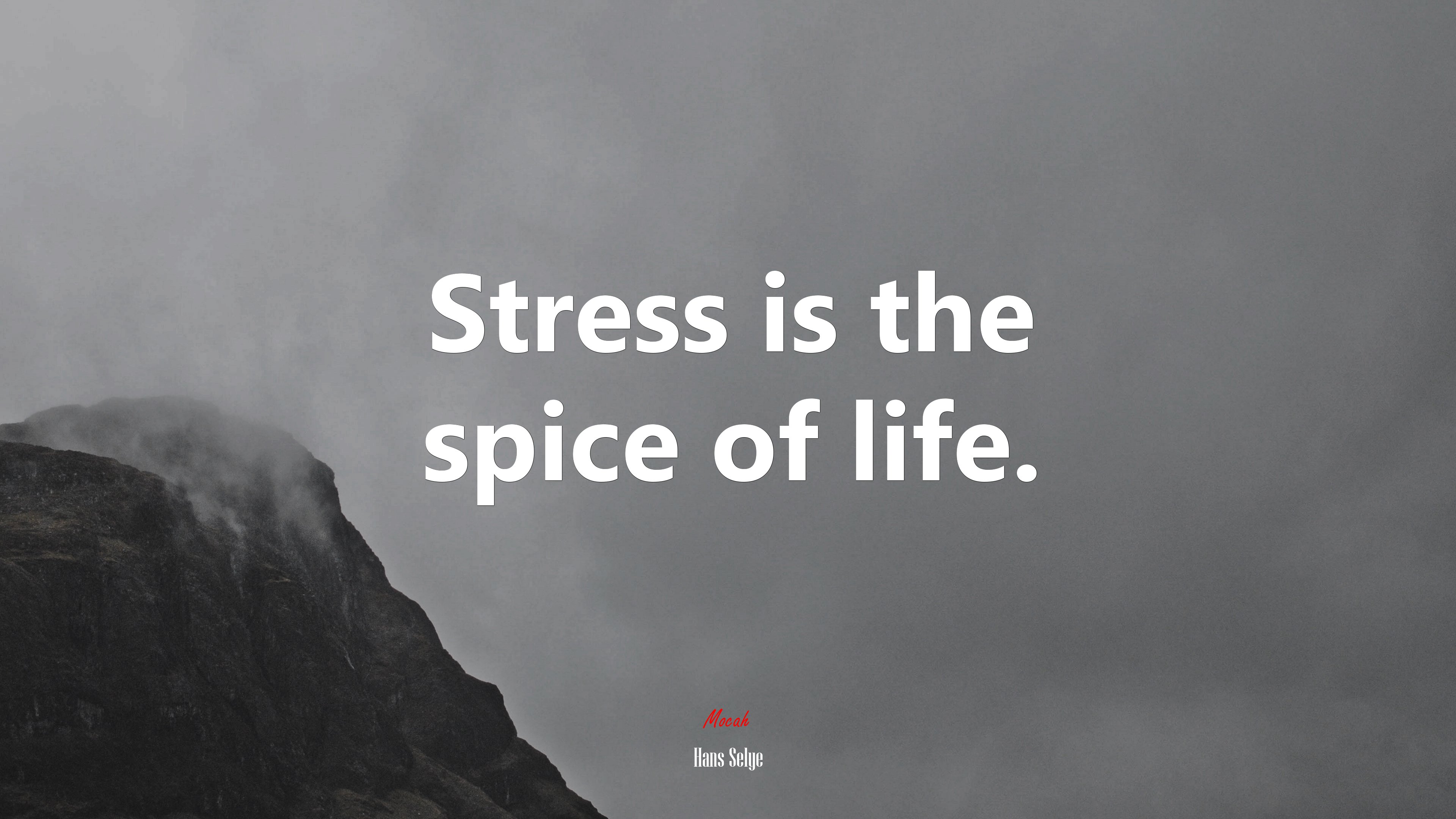 Stress is the spice of life. | Hans Selye quote HD Wallpaper
