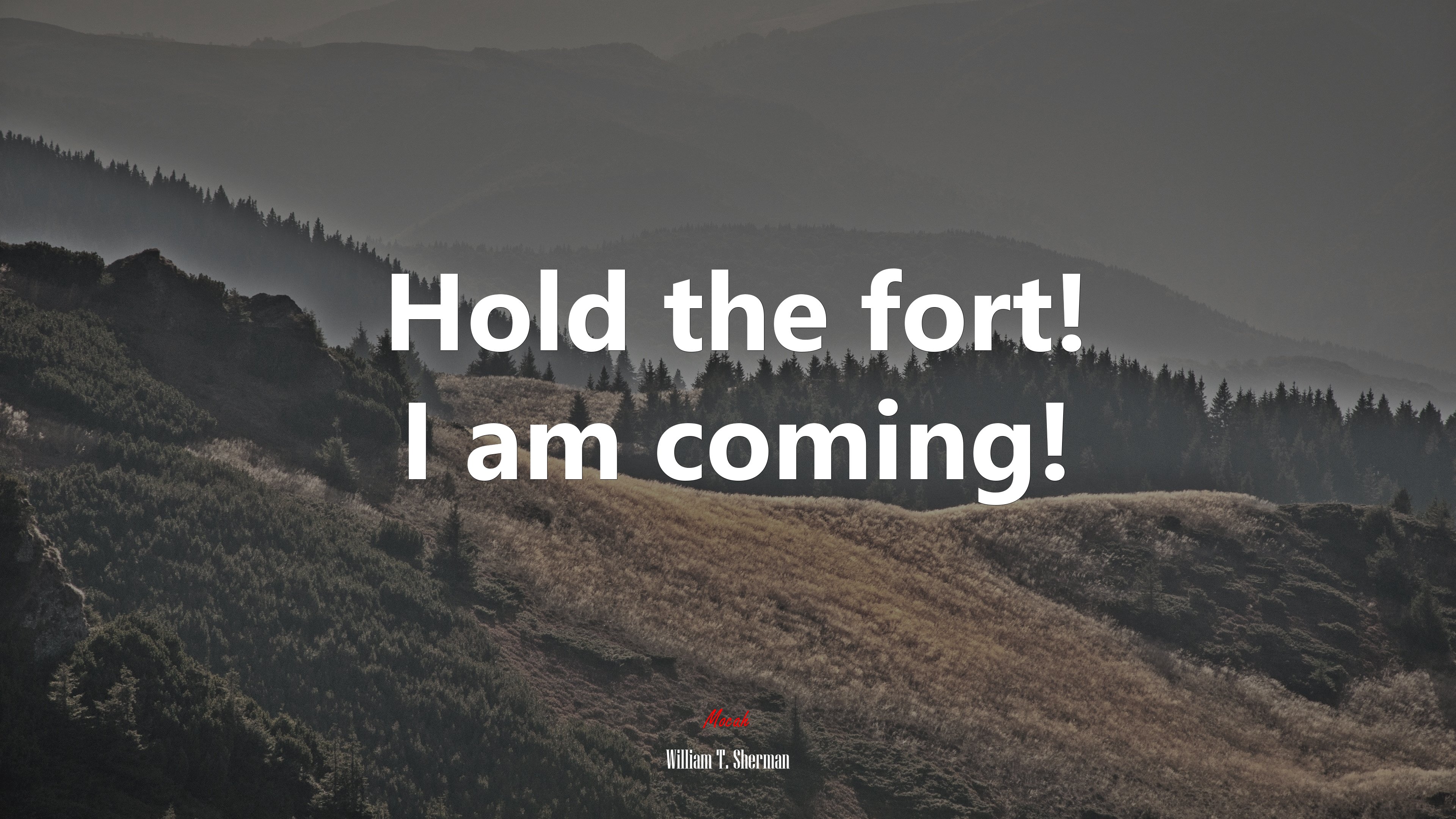 Hold the fort! I am coming! | William T. Sherman quote HD Wallpaper