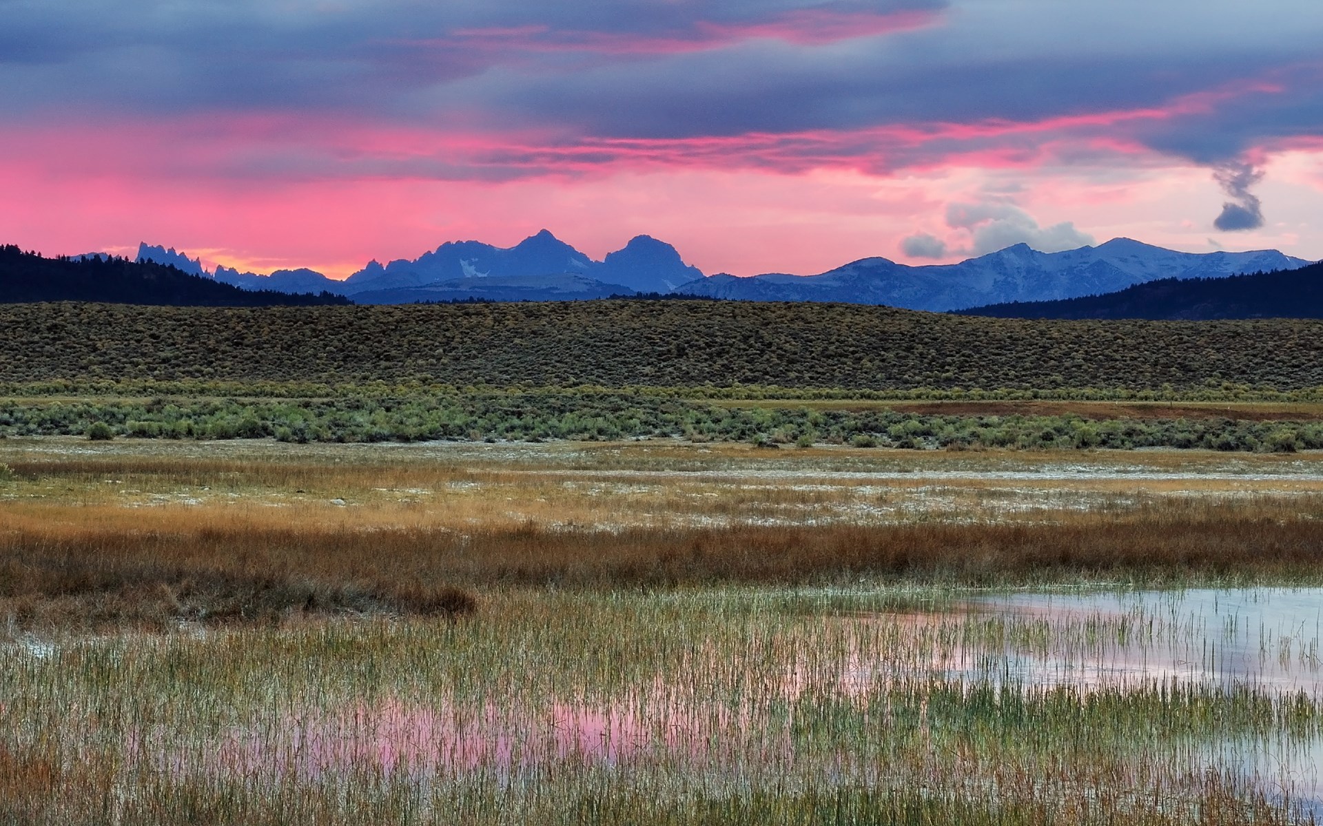Mountain range at sunset over a marshy field HD Wallpaper