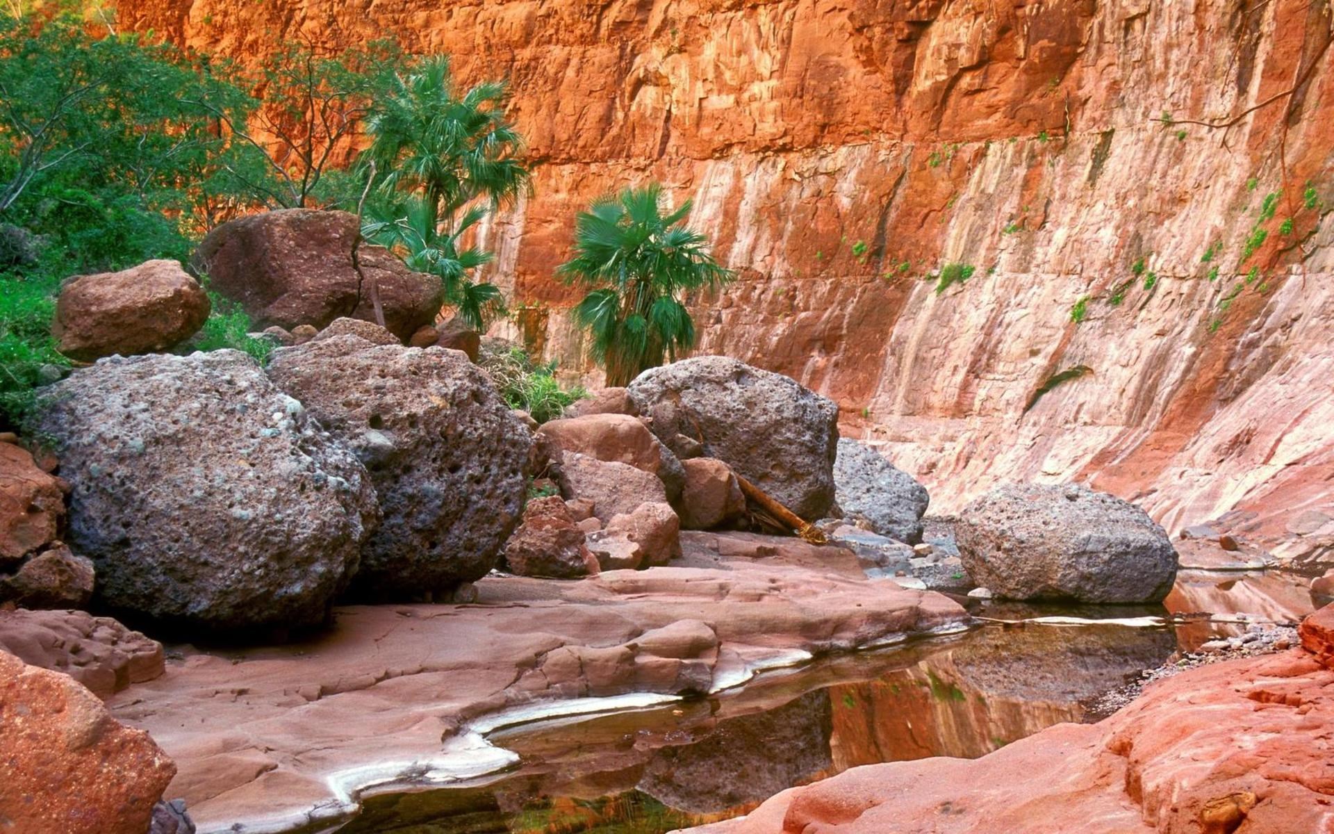 Canyon with red rocks and a stream HD Wallpaper