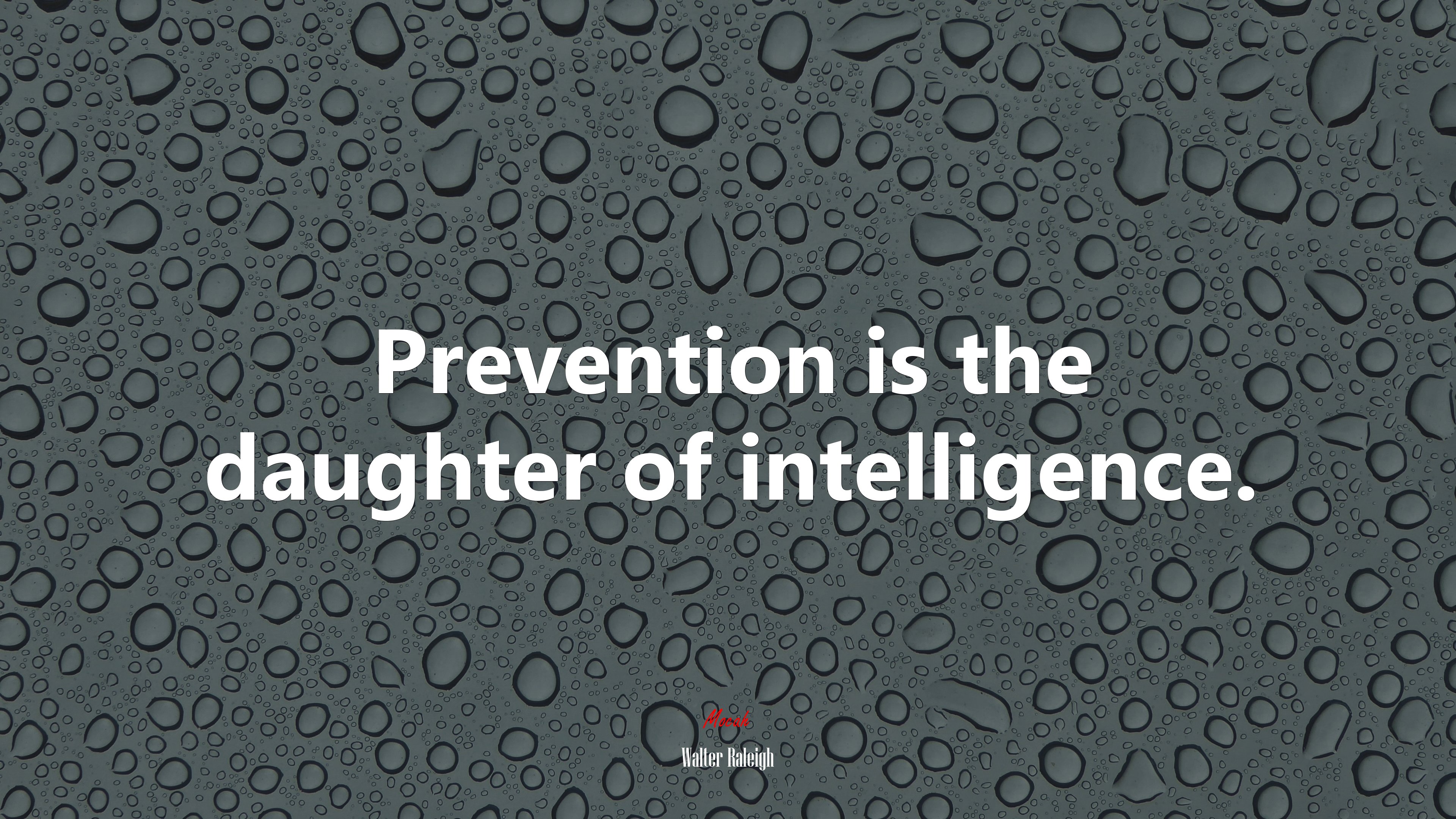 Prevention is the daughter of intelligence. | Walter Raleigh quote HD Wallpaper