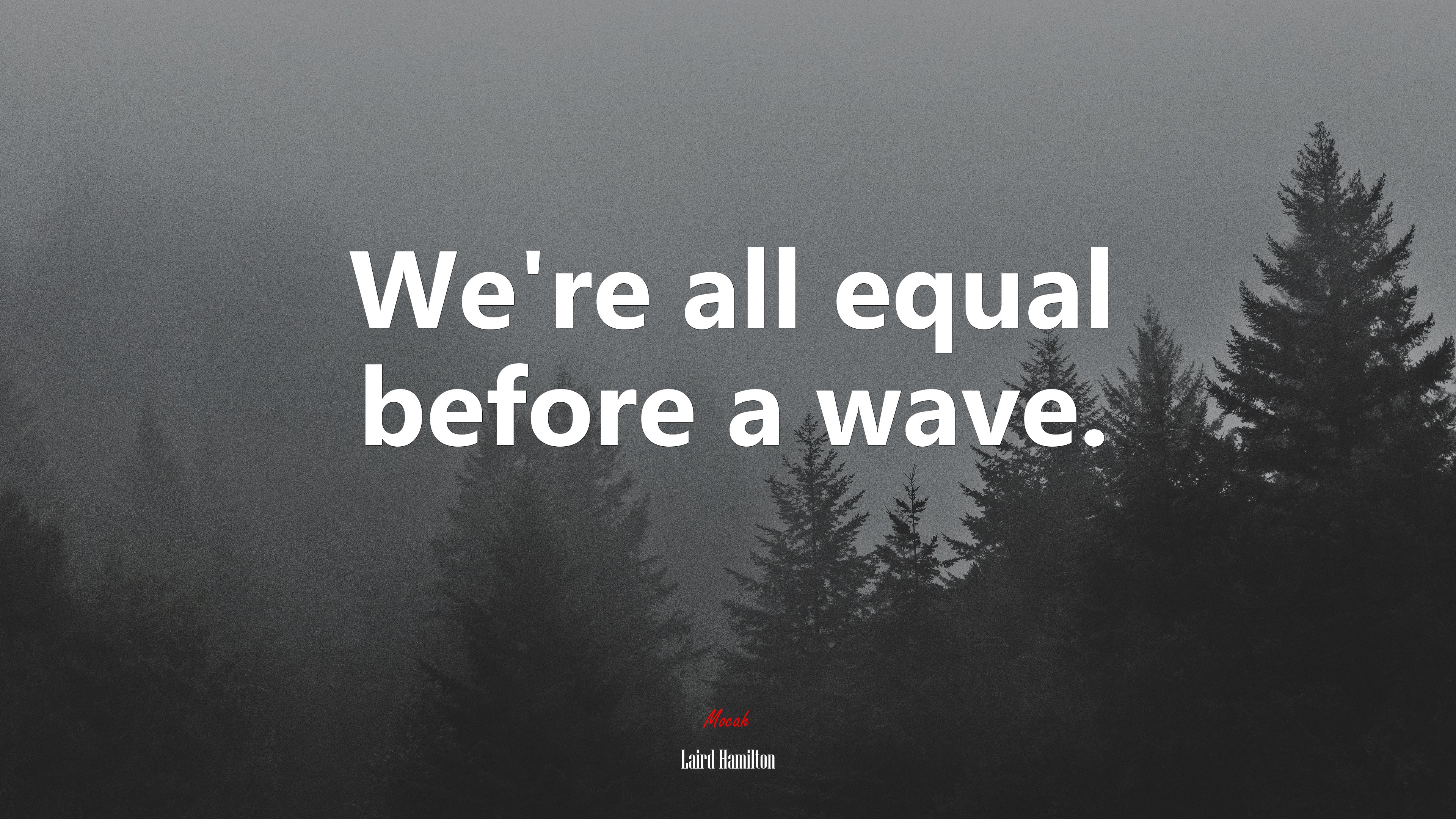 We’re all equal before a wave. | Laird Hamilton quote HD Wallpaper
