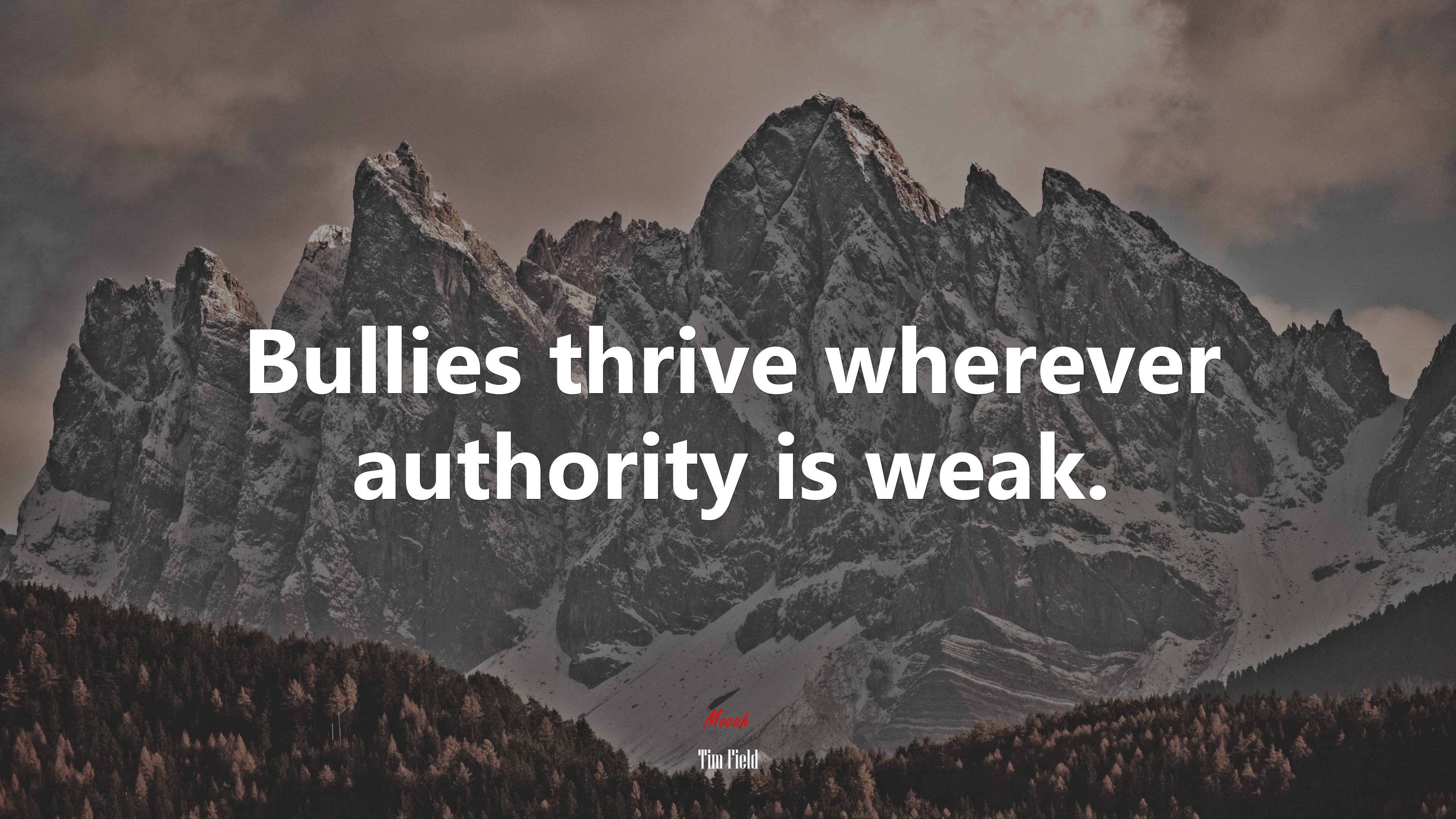 Bullies thrive wherever authority is weak. | Tim Field quote HD Wallpaper