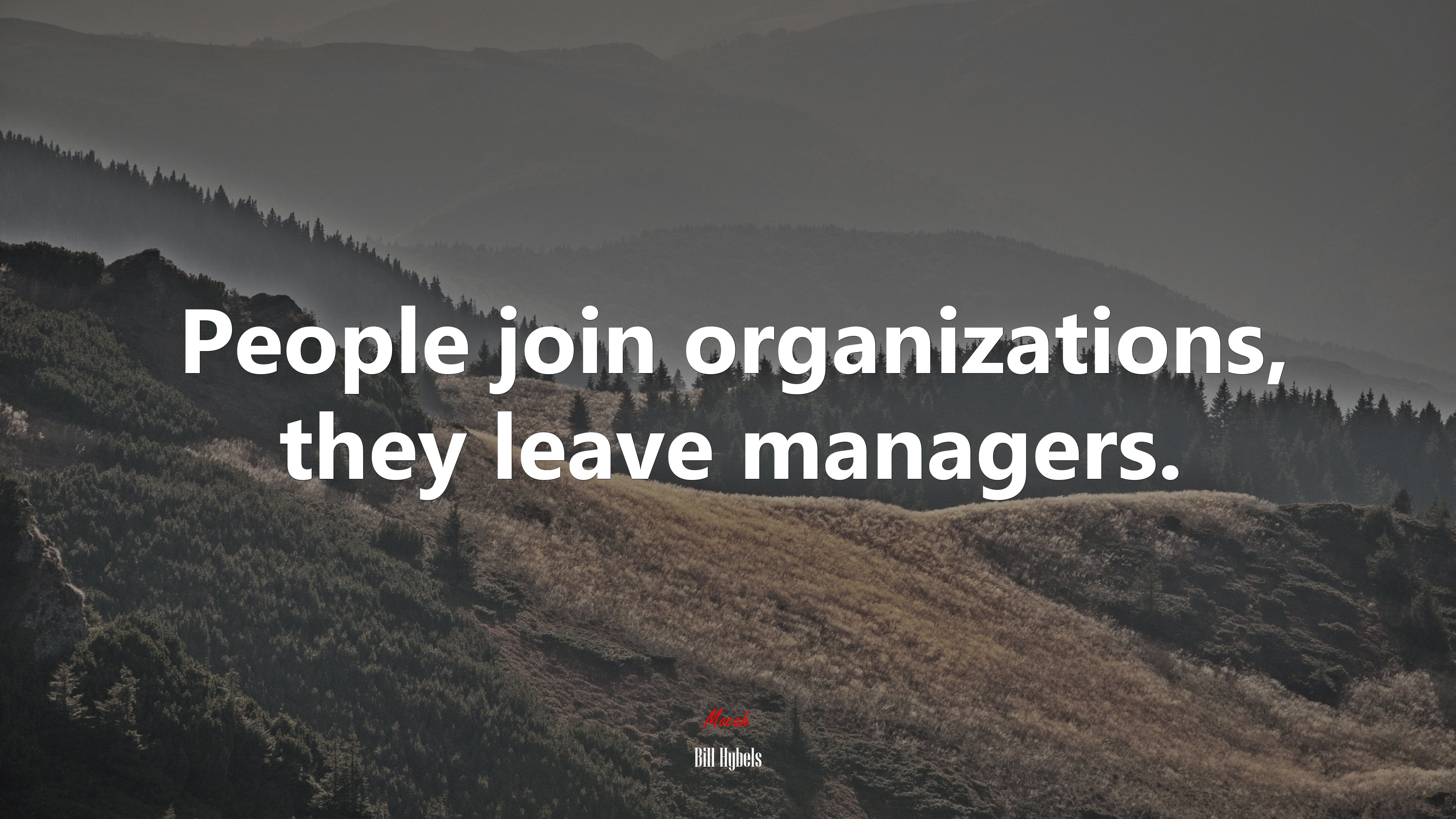 People join organizations, they leave managers. | Bill Hybels quote HD Wallpaper