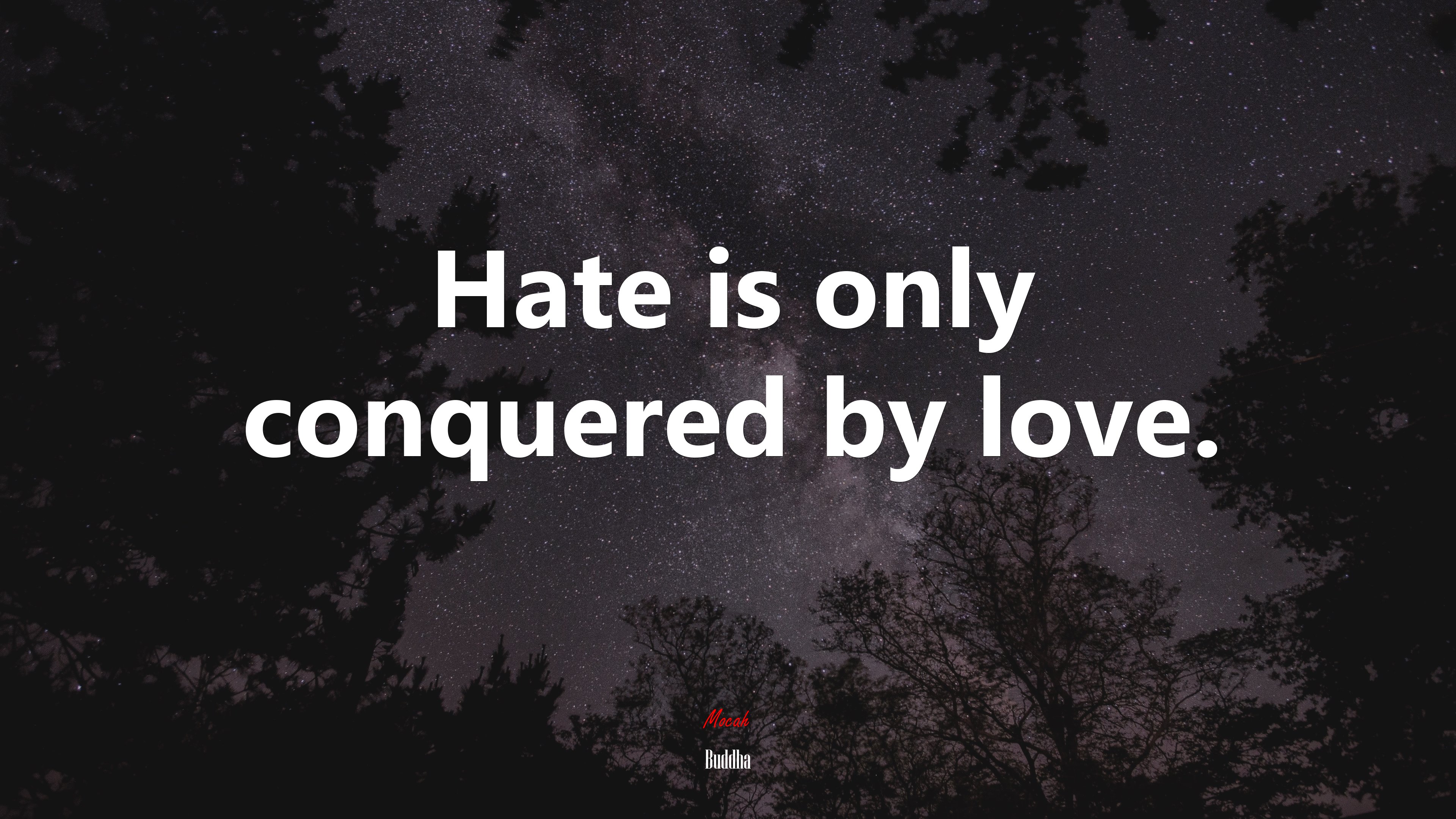 Hate is only conquered by love. | Buddha quote HD Wallpaper