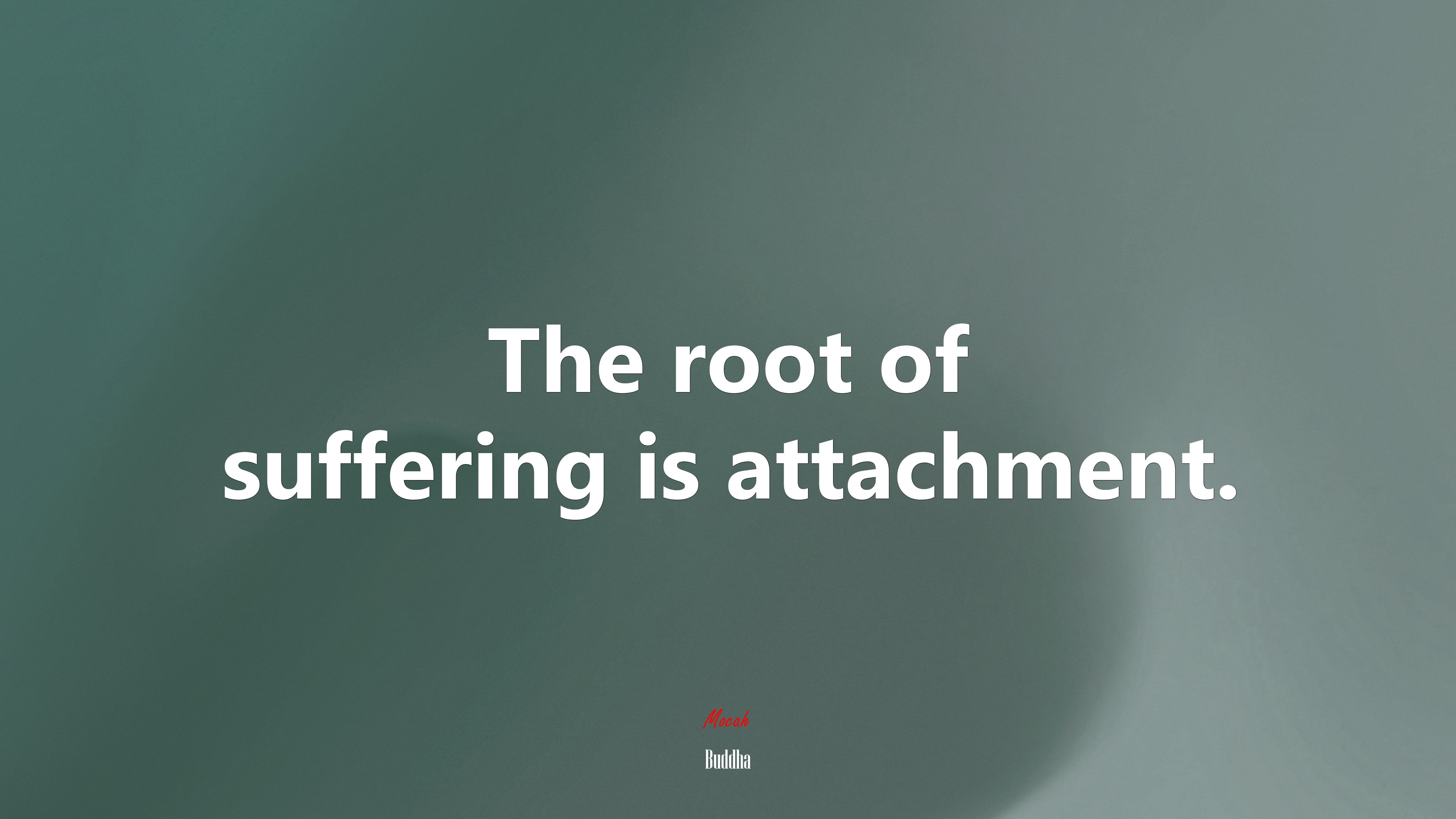 The root of suffering is attachment. | Buddha quote HD Wallpaper