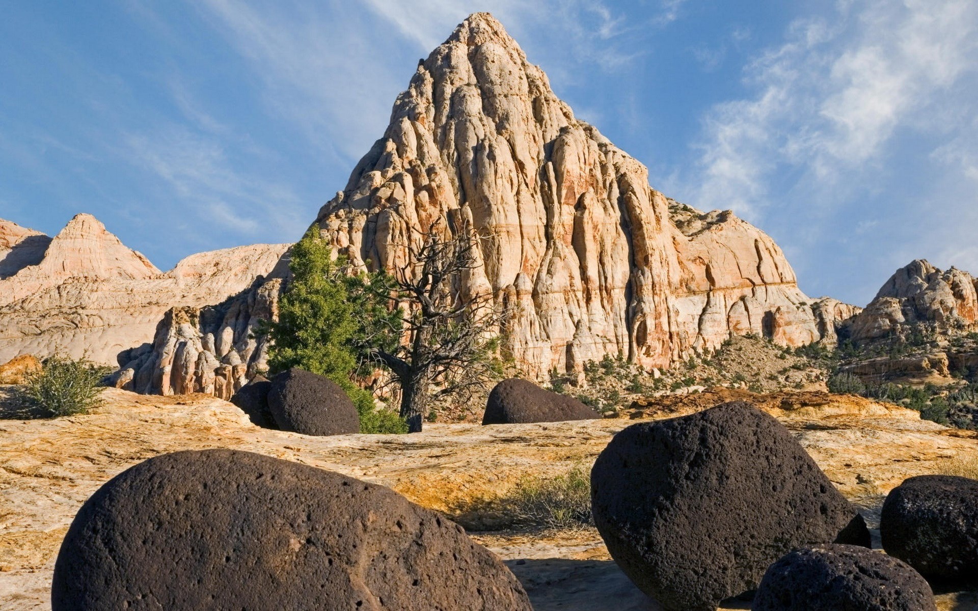 Rocky Mountains with Boulders and Trees HD Wallpaper