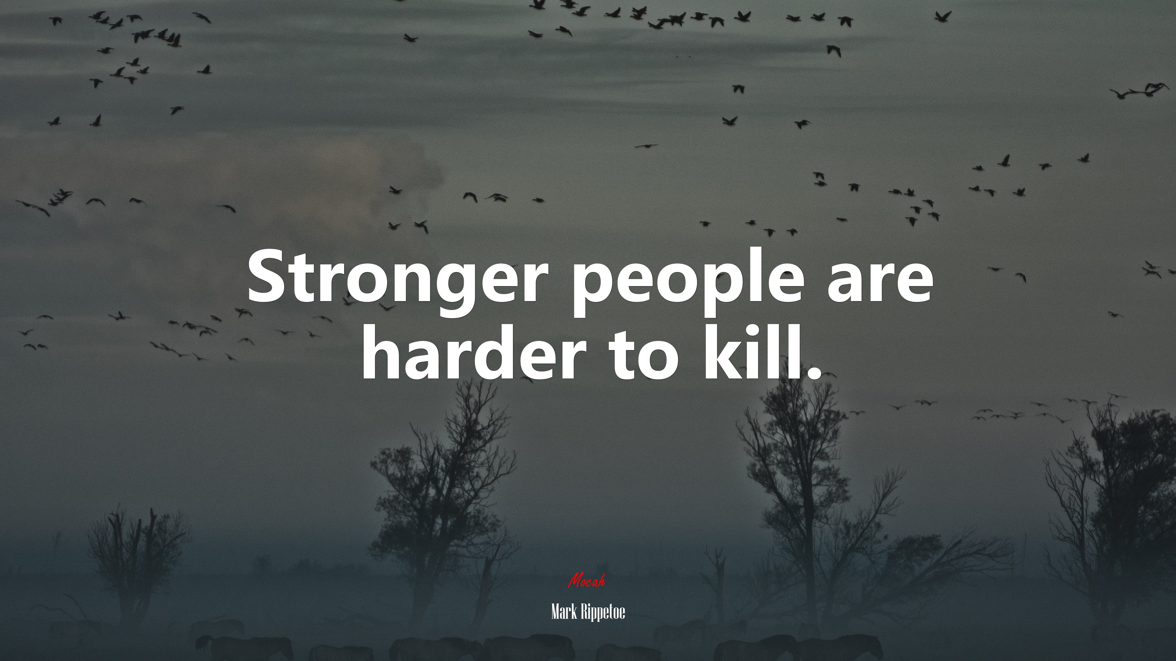 Stronger people are harder to kill. | Mark Rippetoe quote HD Wallpaper