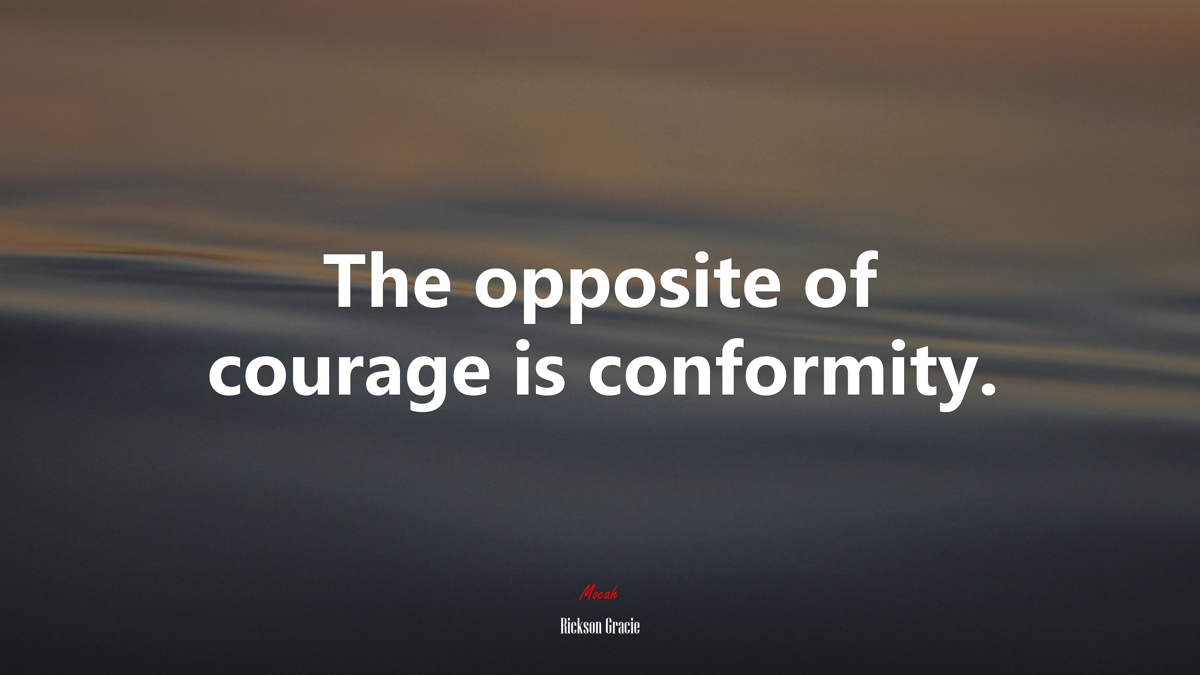 The opposite of courage is conformity. | Rickson Gracie quote HD Wallpaper