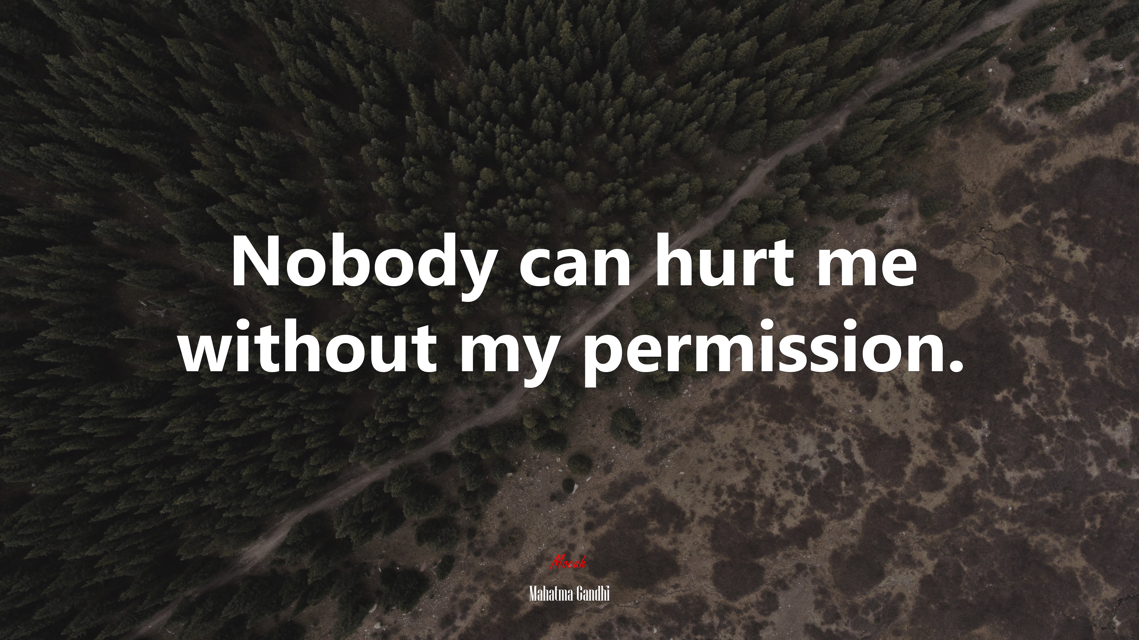 Nobody can hurt me without my permission. | Mahatma Gandhi quote HD Wallpaper