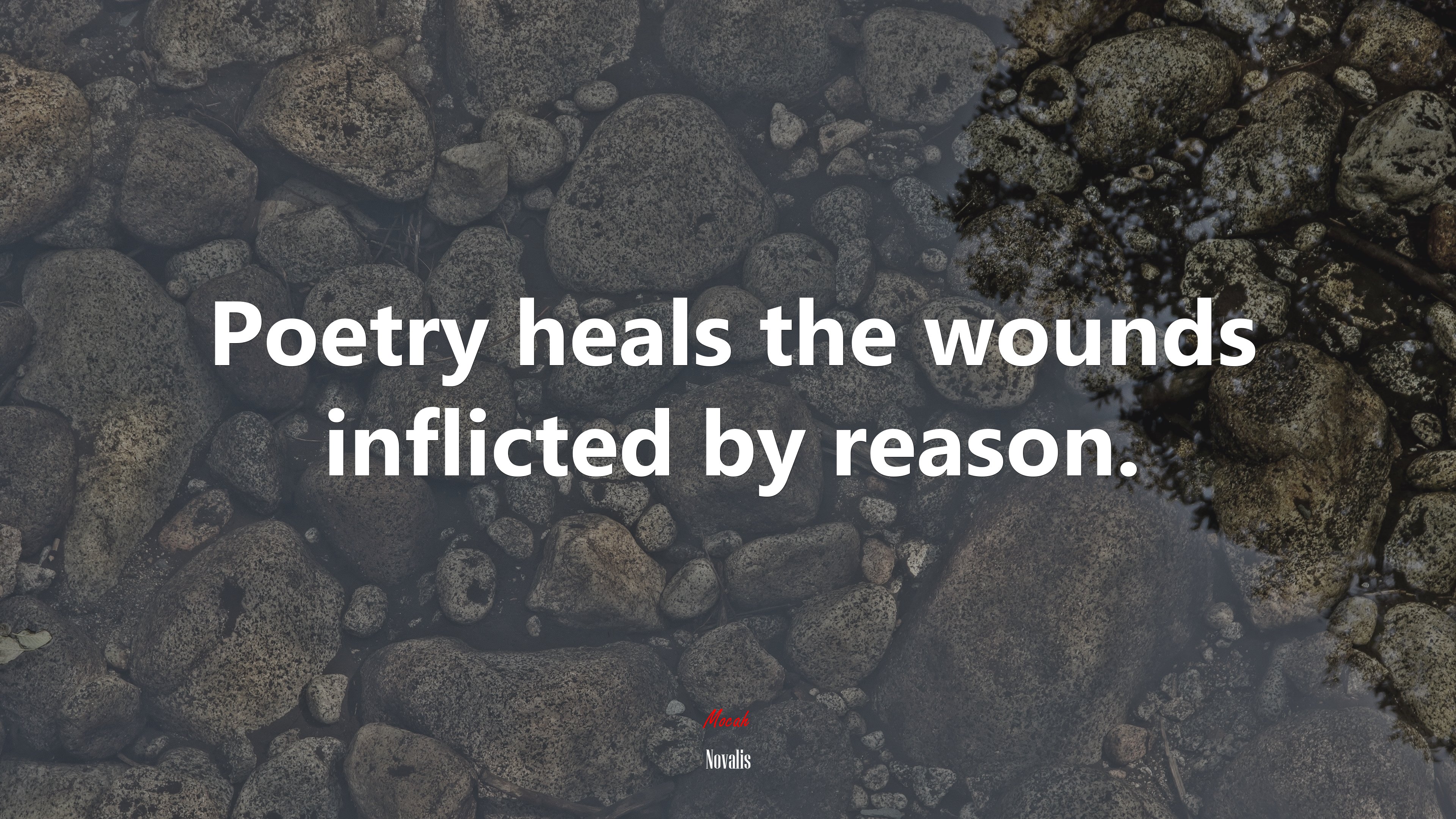 Poetry heals the wounds inflicted by reason. | Novalis quote HD Wallpaper