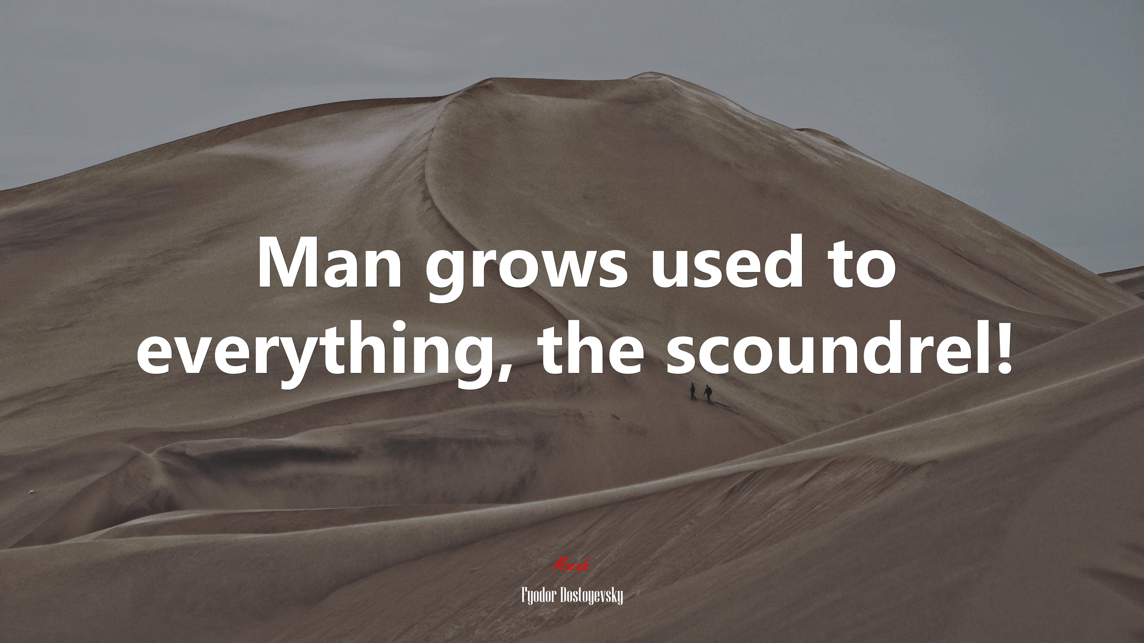 Man grows used to everything, the scoundrel! | Fyodor Dostoyevsky quote HD Wallpaper