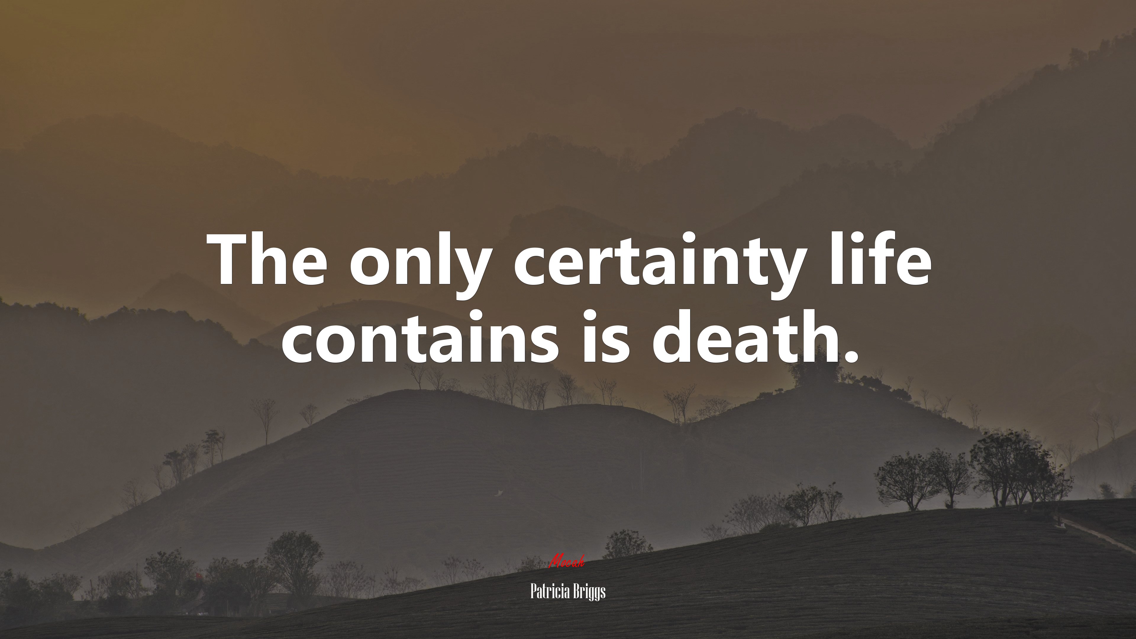 The only certainty life contains is death. | Patricia Briggs quote HD Wallpaper
