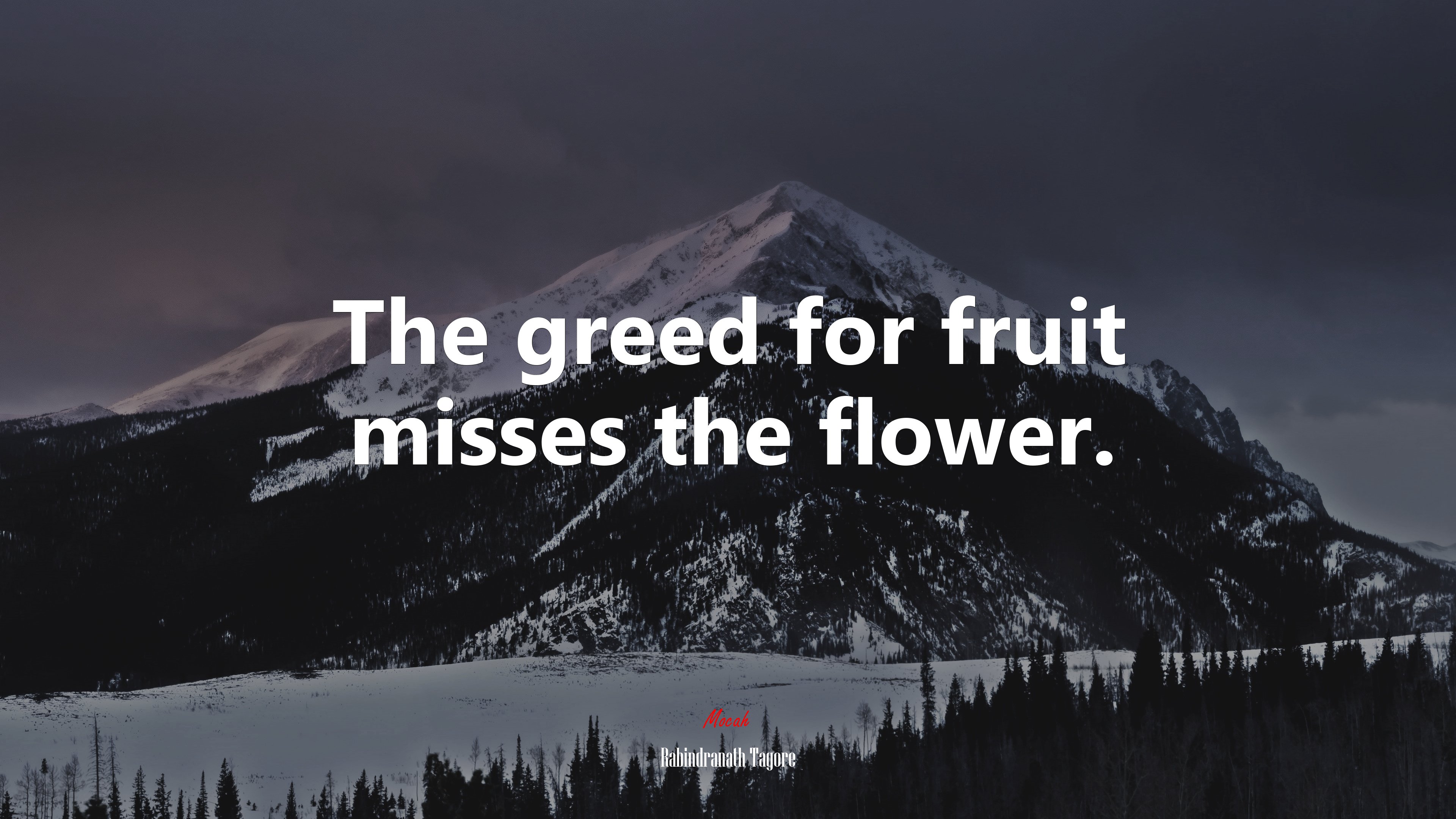 The greed for fruit misses the flower. | Rabindranath Tagore quote HD Wallpaper