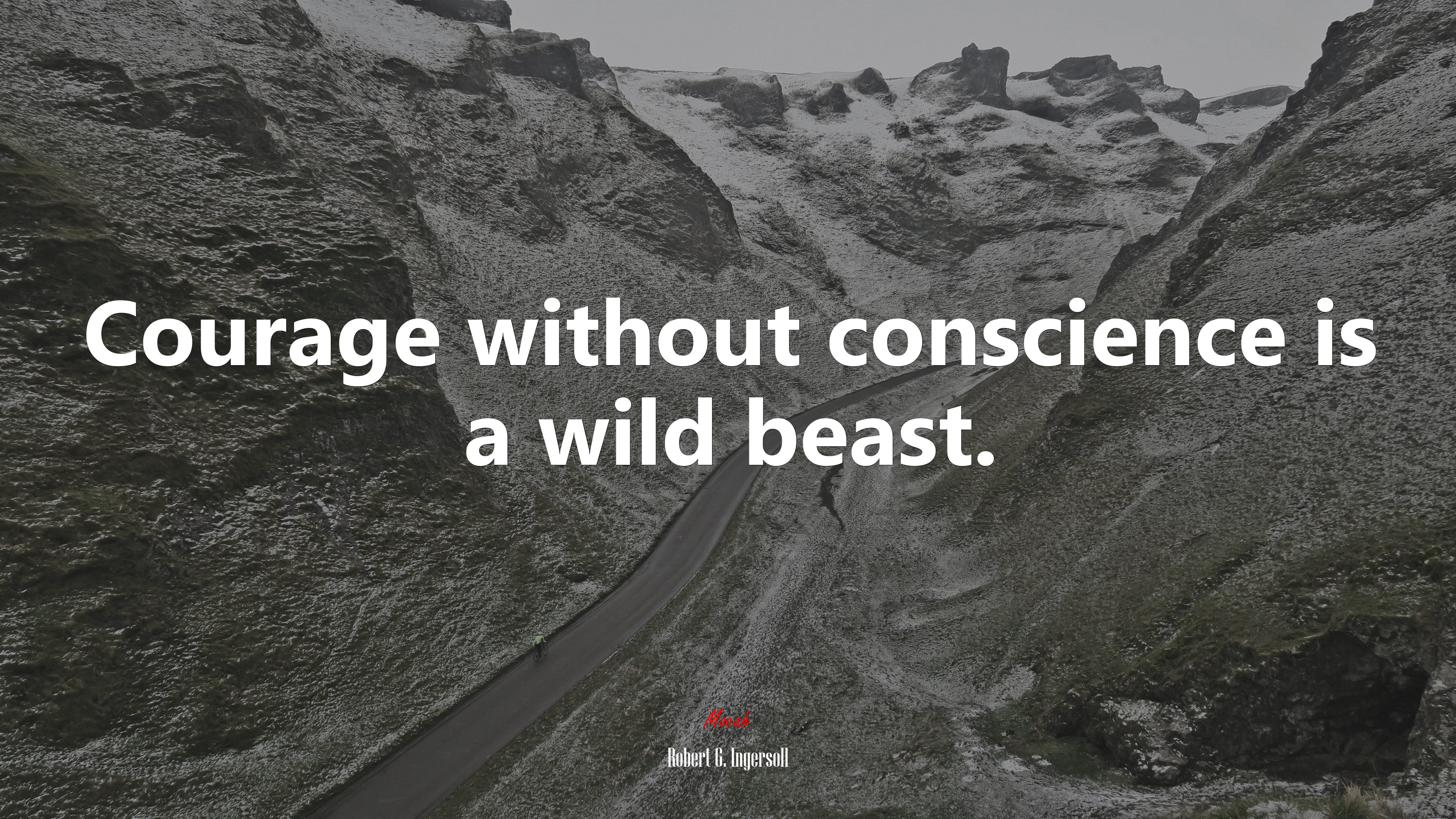 Courage without conscience is a wild beast. | Robert G. Ingersoll quote HD Wallpaper