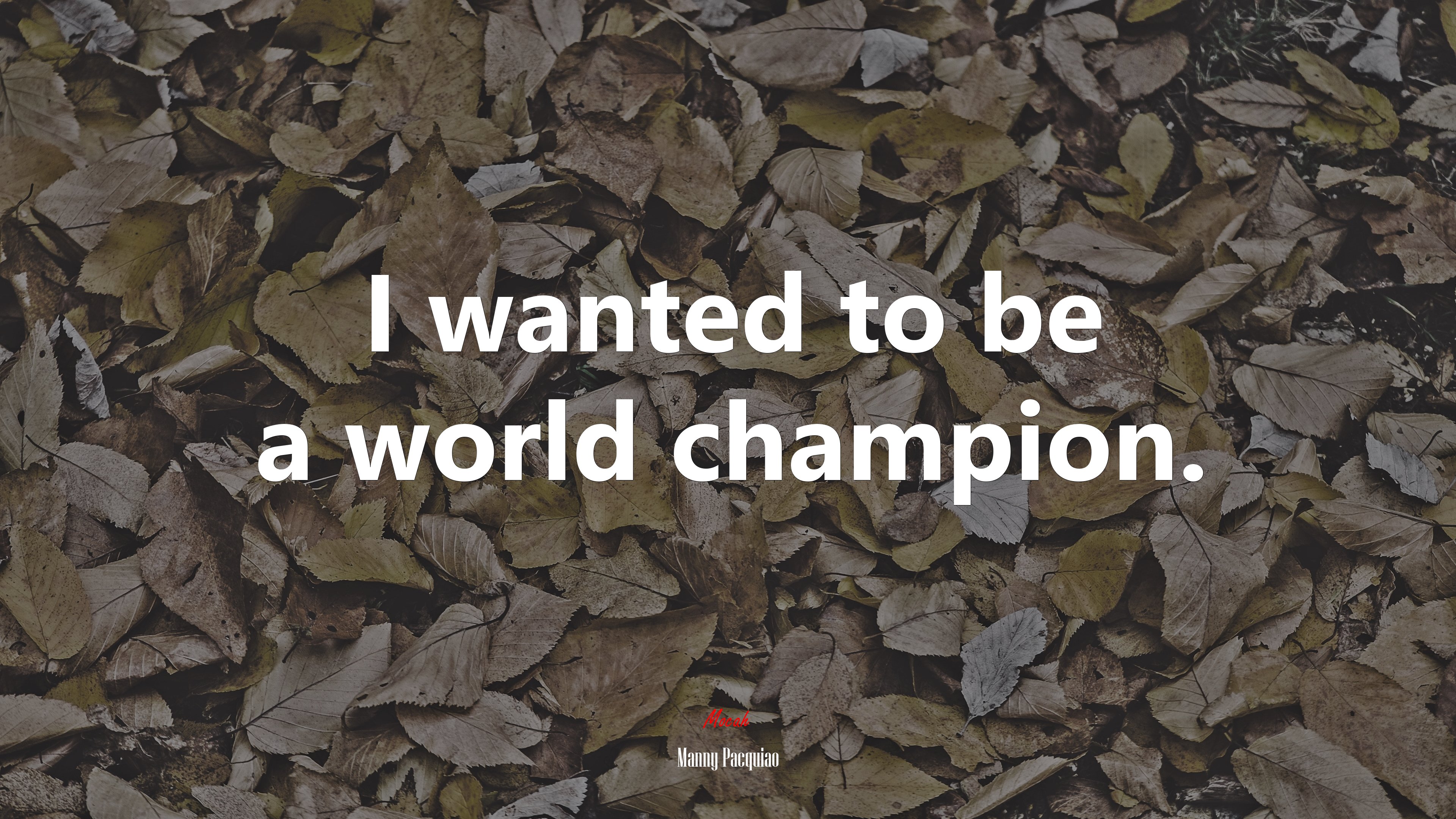 I wanted to be a world champion. | Manny Pacquiao quote HD Wallpaper