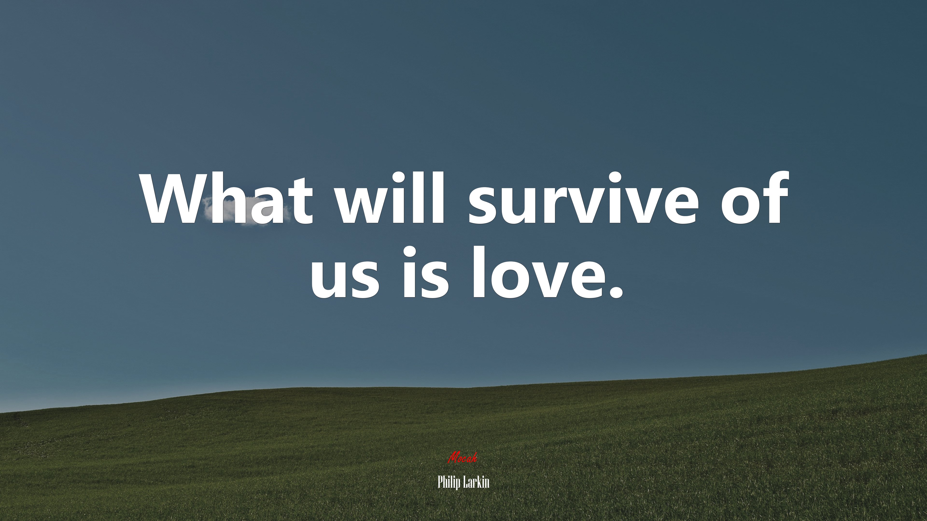 What will survive of us is love. | Philip Larkin quote HD Wallpaper