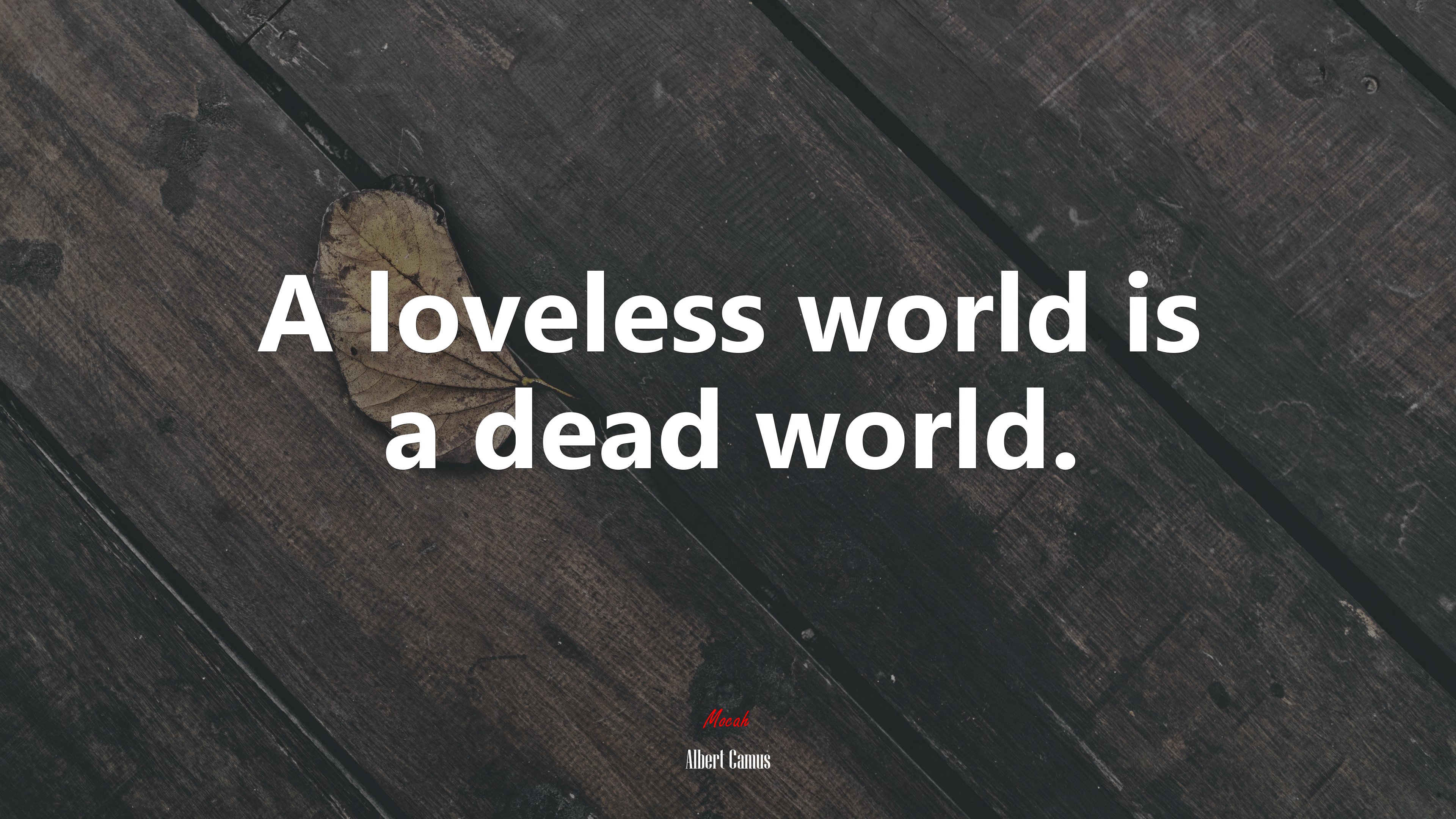 A loveless world is a dead world. | Albert Camus quote HD Wallpaper