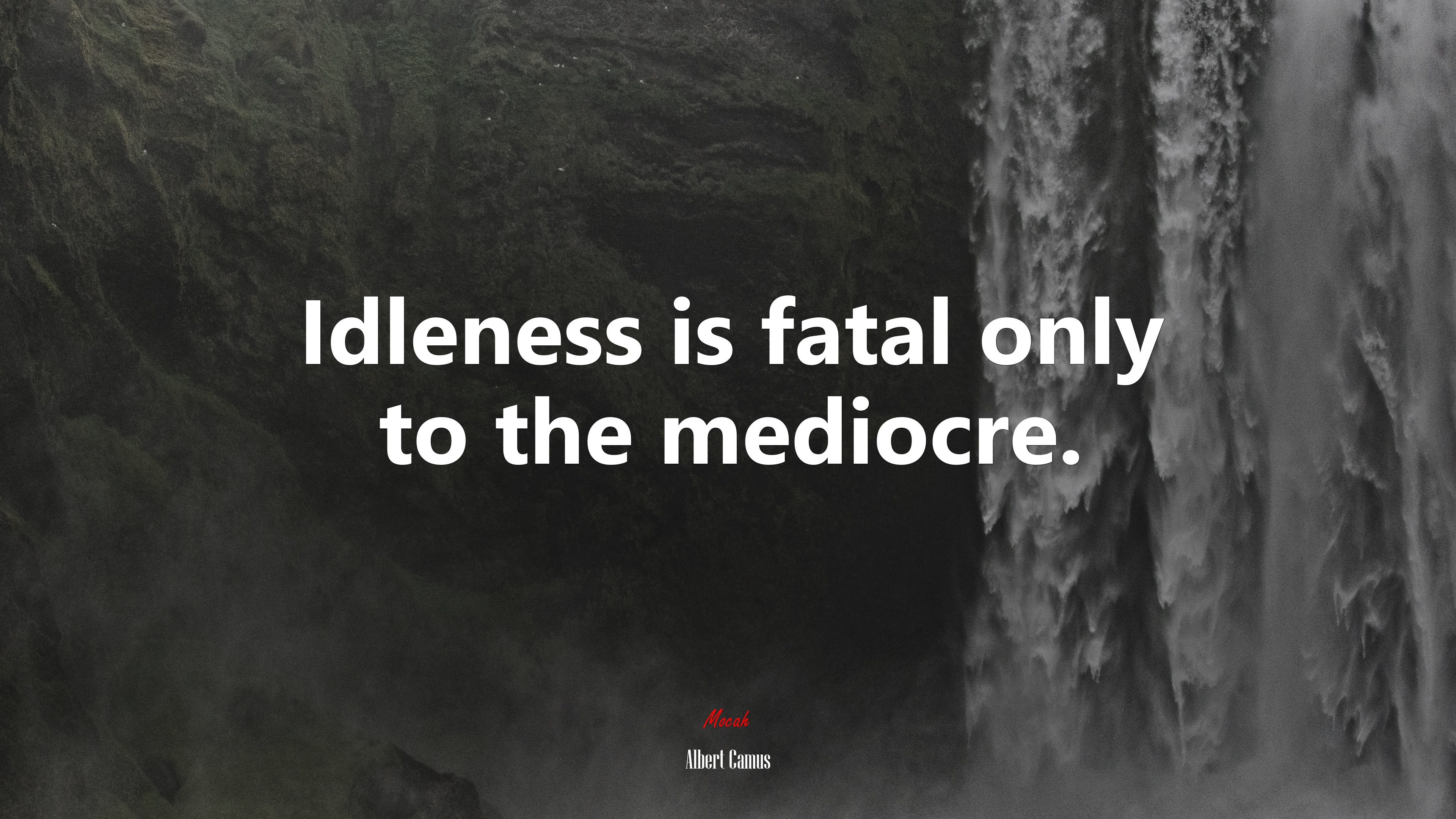 Idleness is fatal only to the mediocre. | Albert Camus quote HD Wallpaper