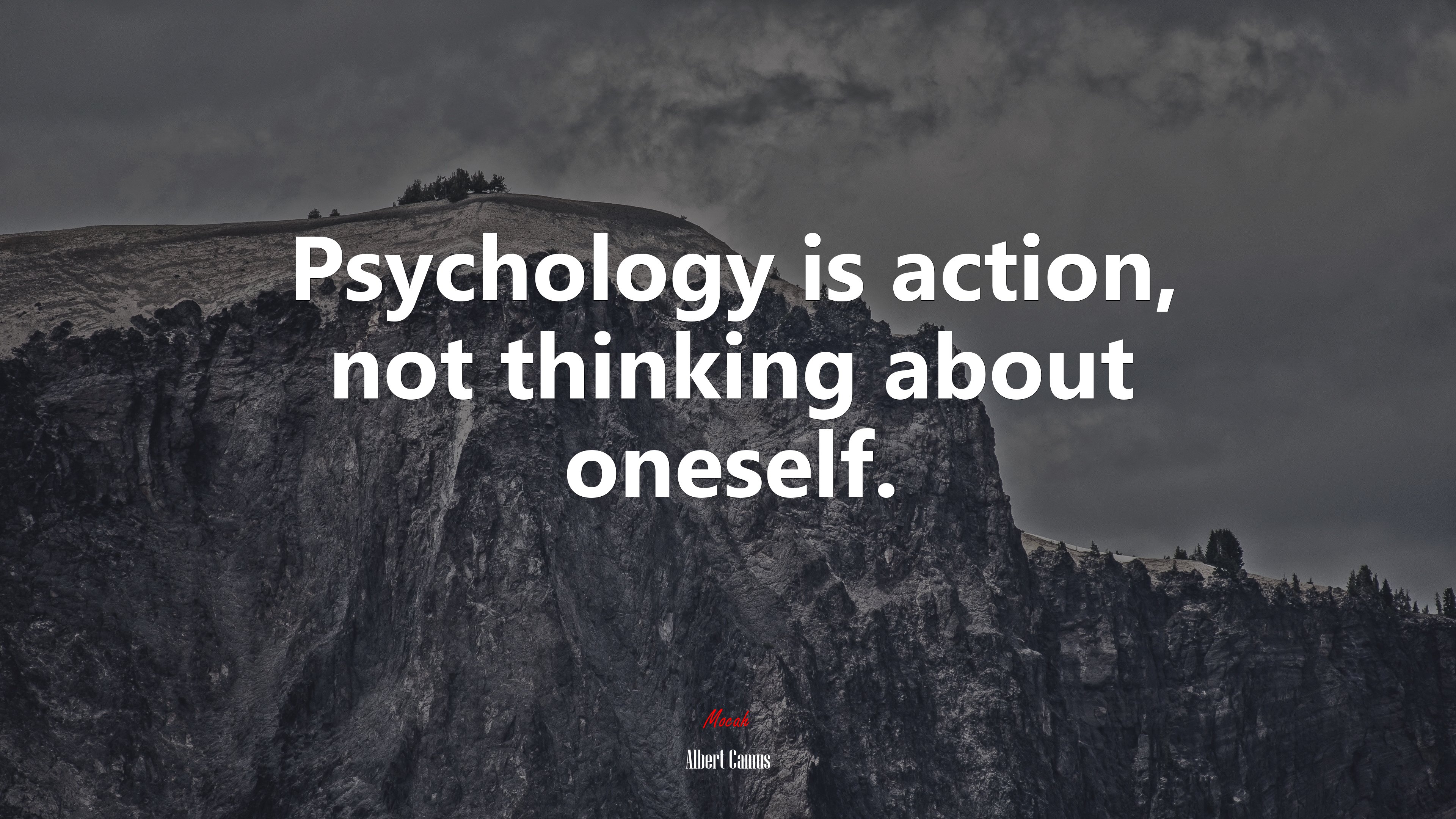 Psychology is action, not thinking about oneself. | Albert Camus quote HD Wallpaper