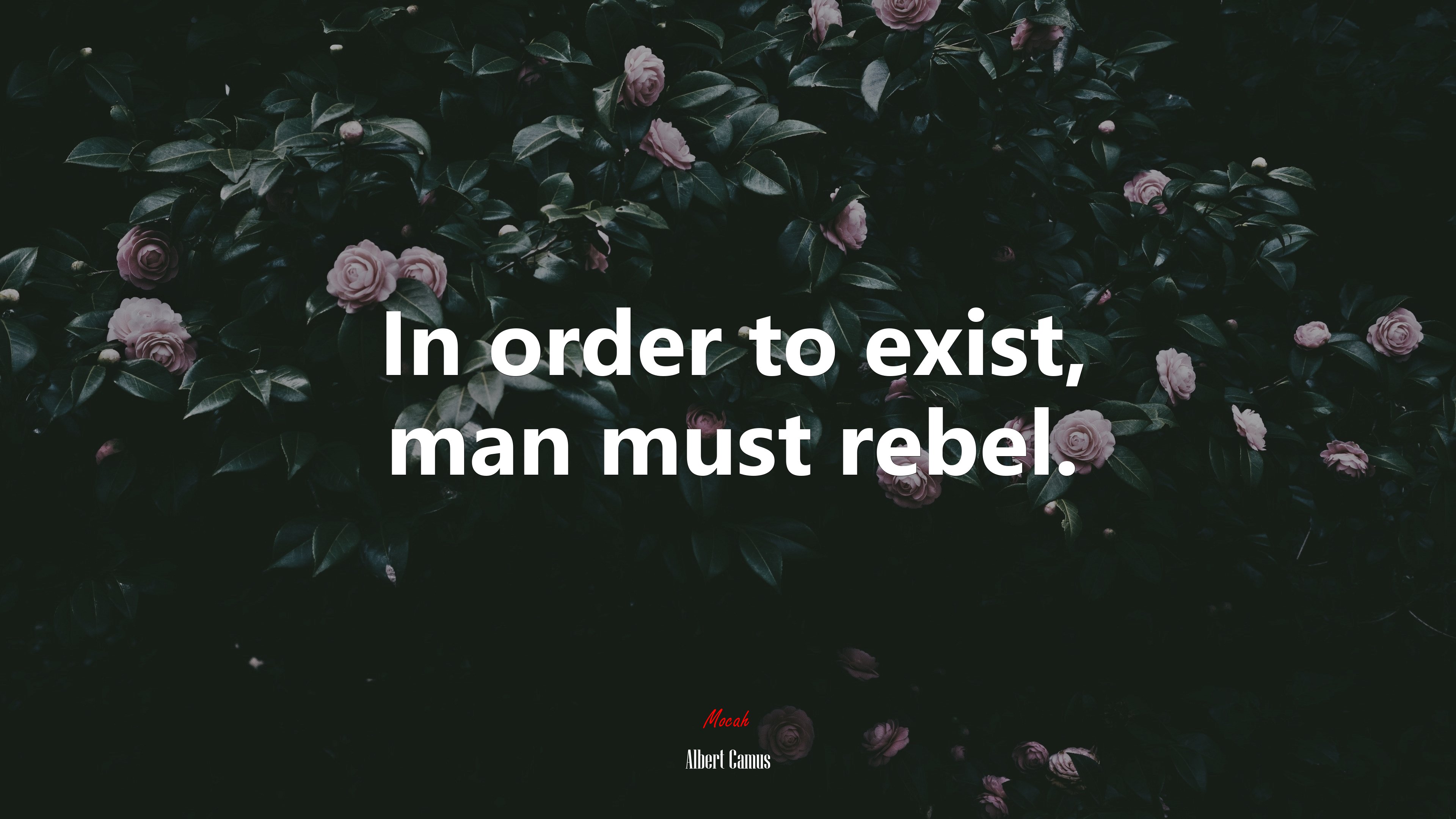 In order to exist, man must rebel. | Albert Camus quote HD Wallpaper