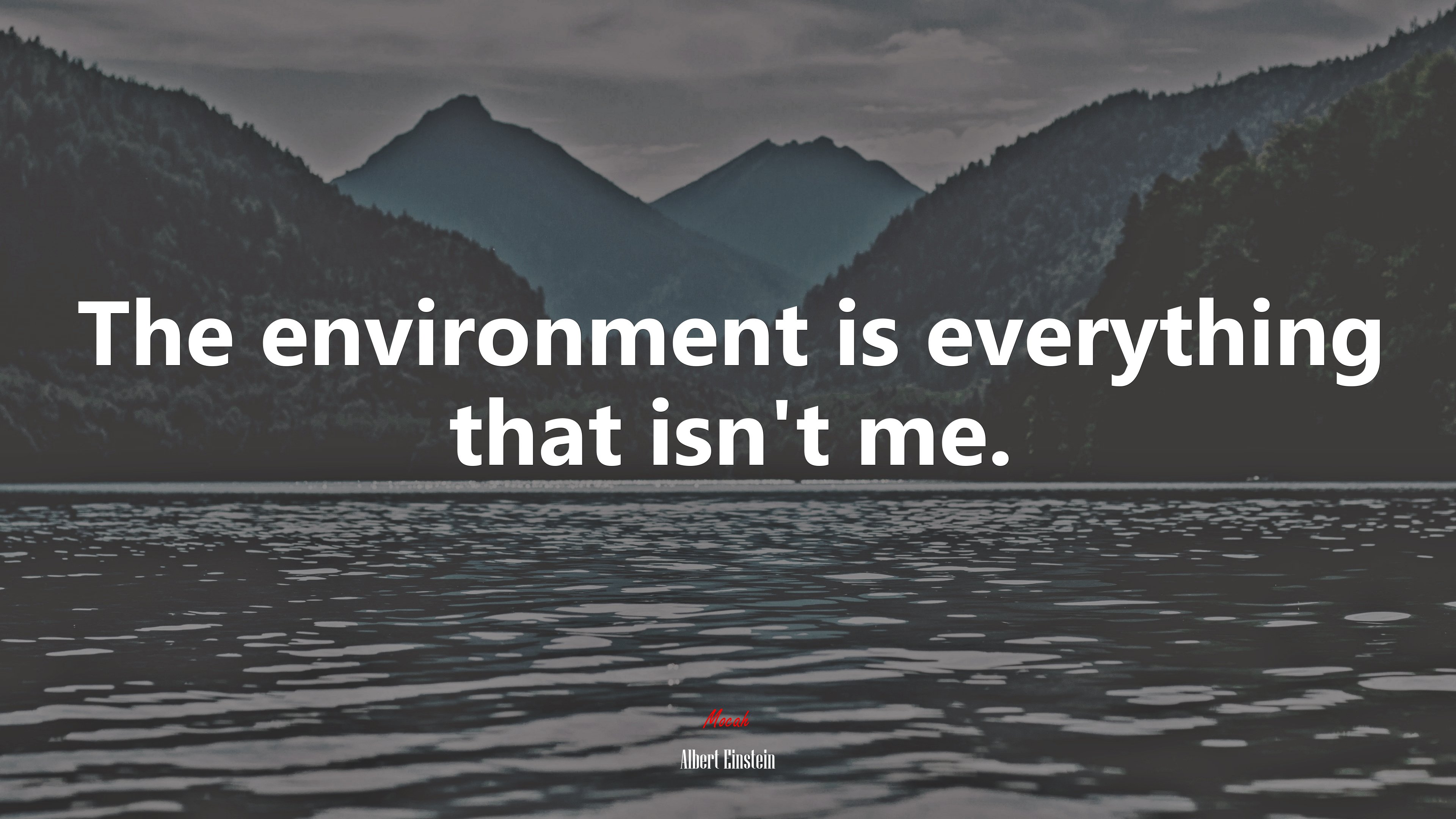 The environment is everything that isn’t me. | Albert Einstein quote HD Wallpaper