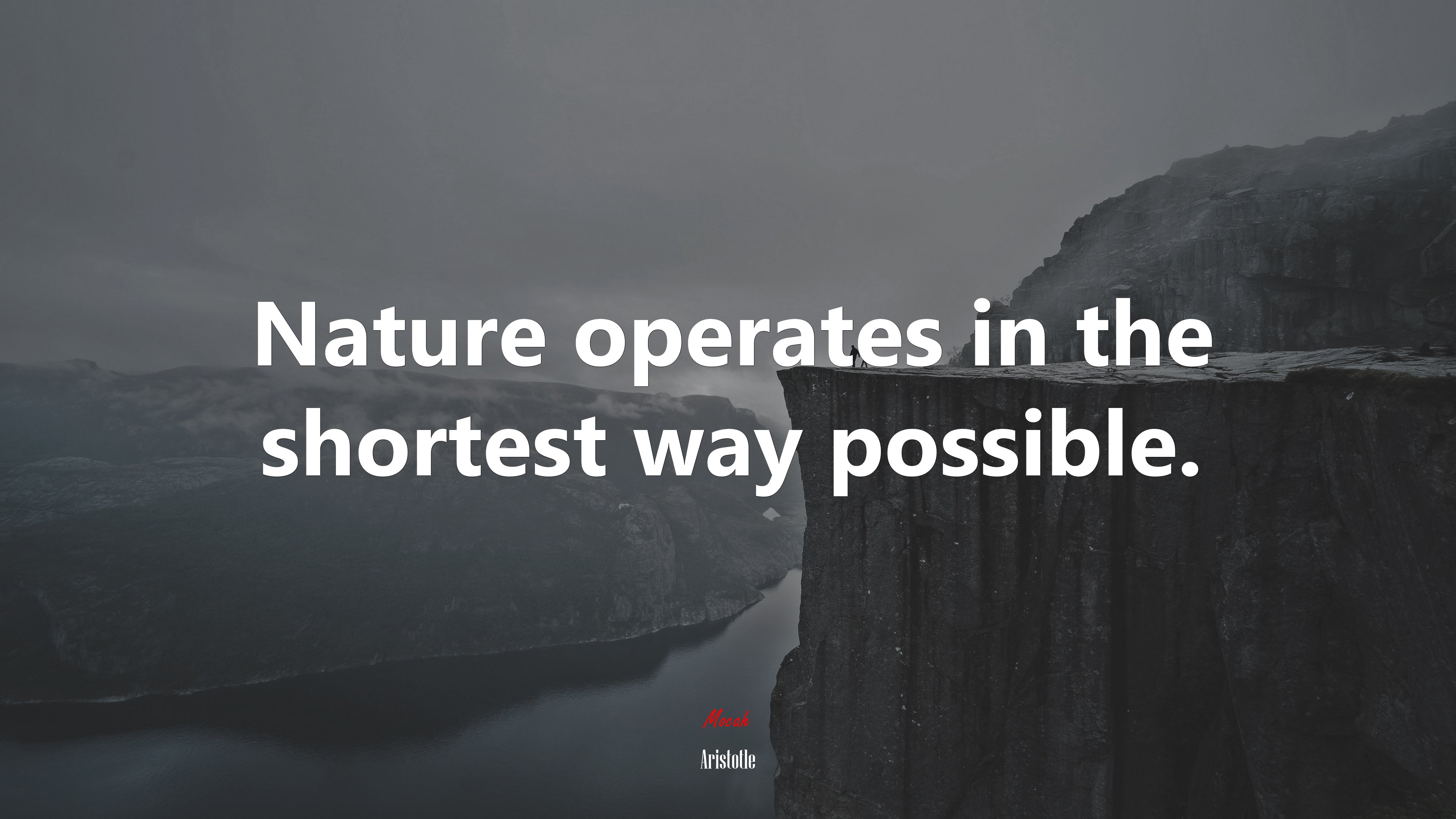Nature operates in the shortest way possible. | Aristotle quote HD Wallpaper