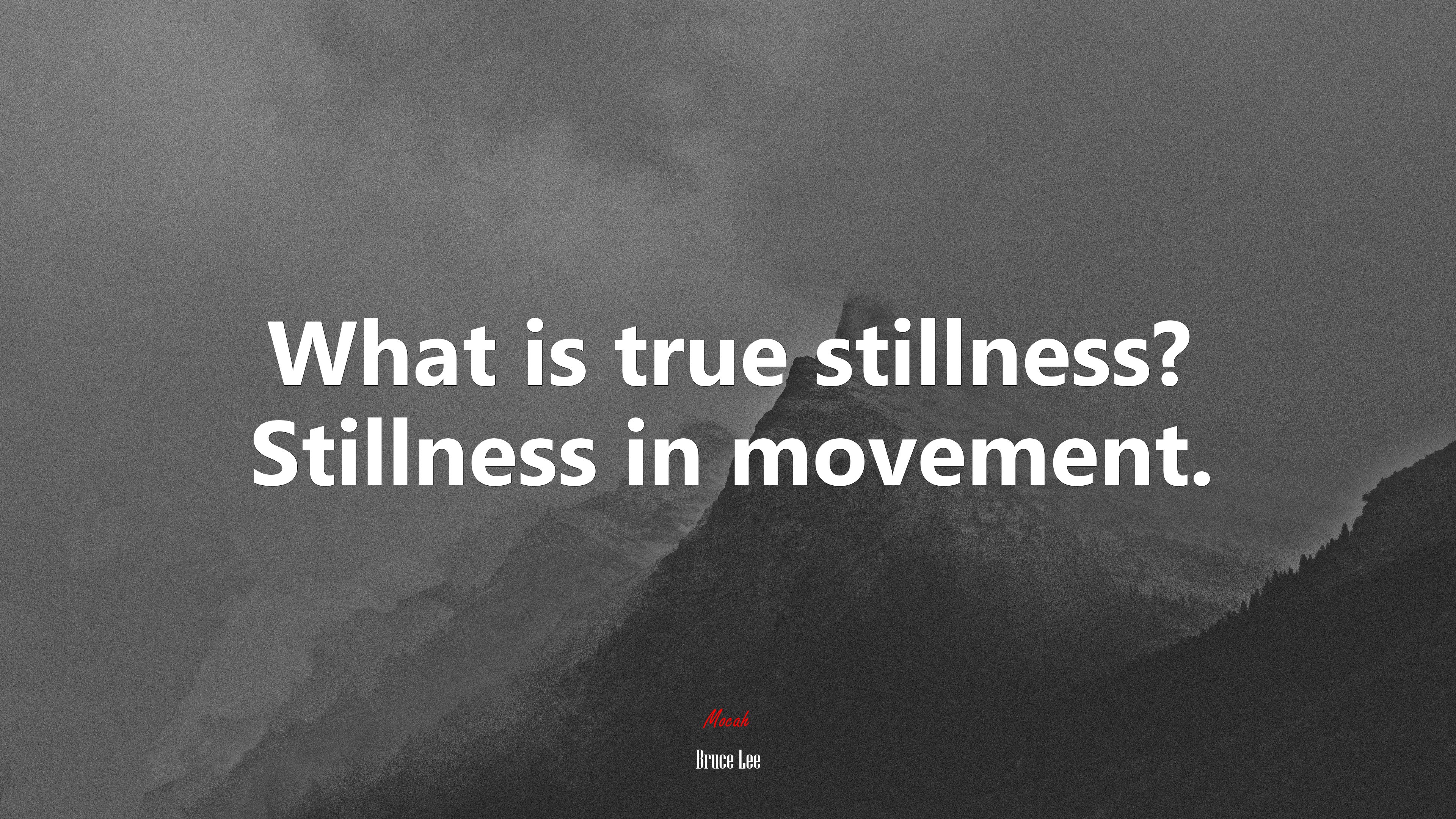 What is true stillness? Stillness in movement. | Bruce Lee quote HD Wallpaper